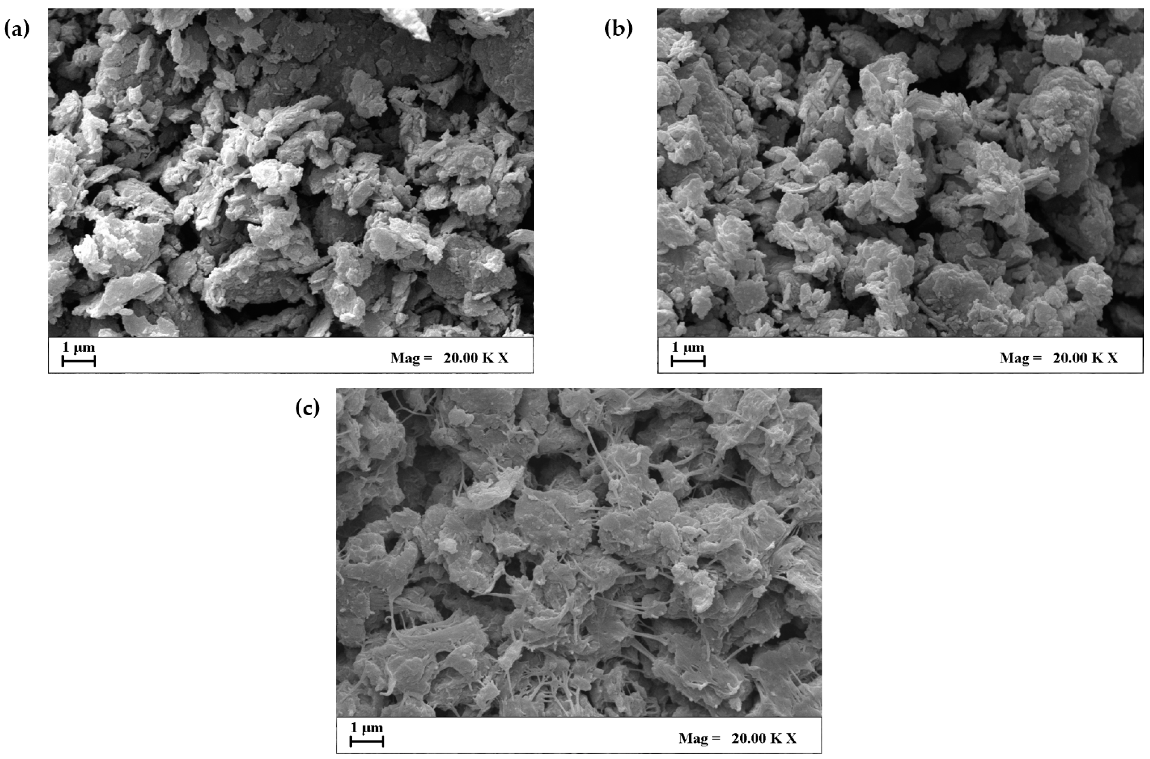 Polymers 11 01261 g004