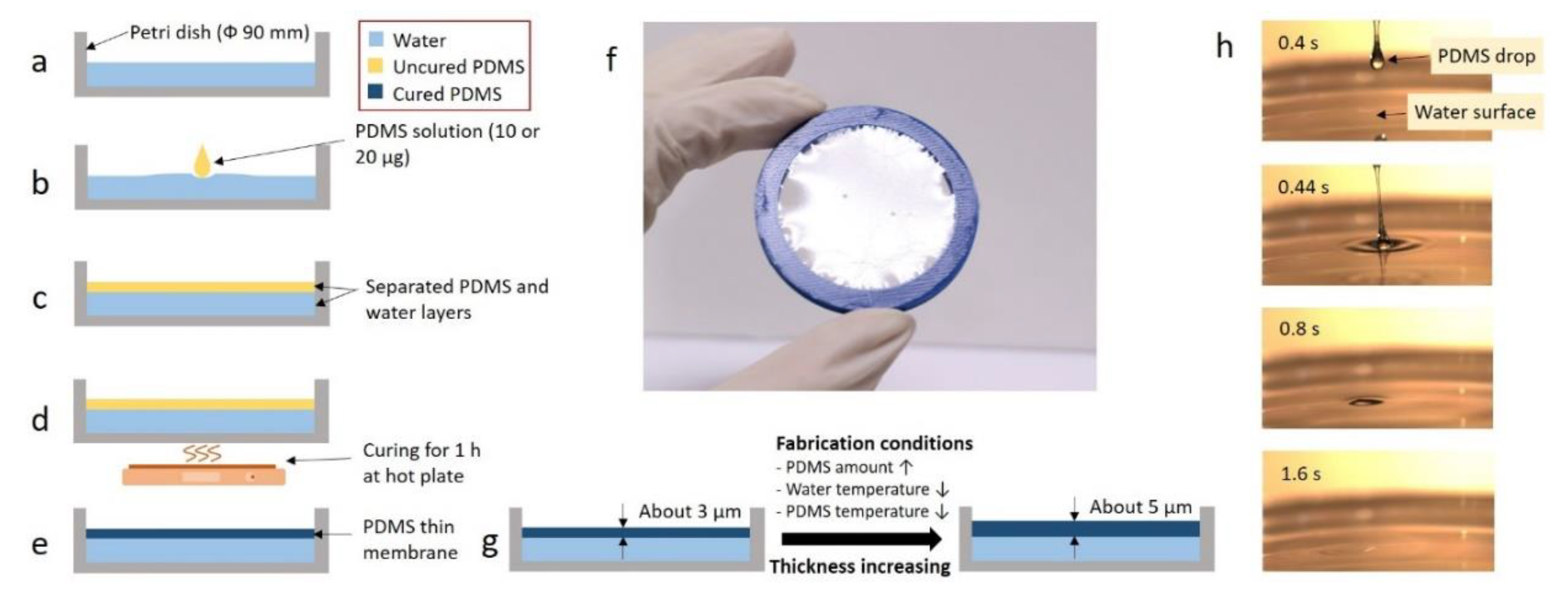 Polymers 11 01264 g001