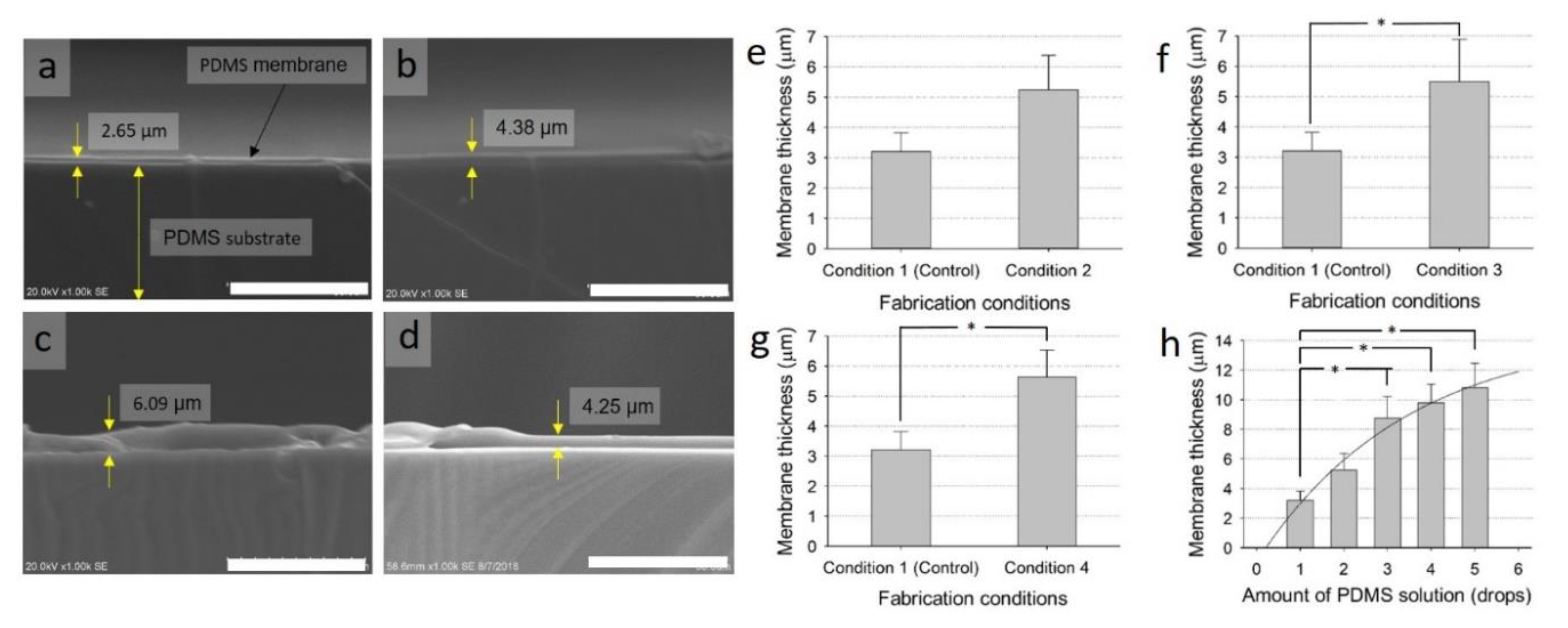 Polymers 11 01264 g002