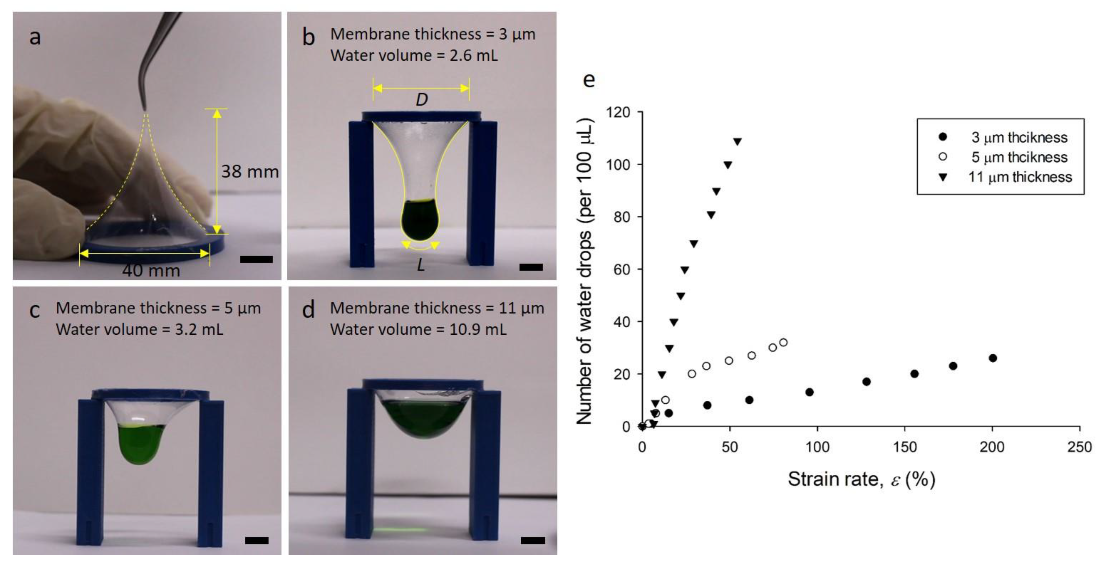 Polymers 11 01264 g003