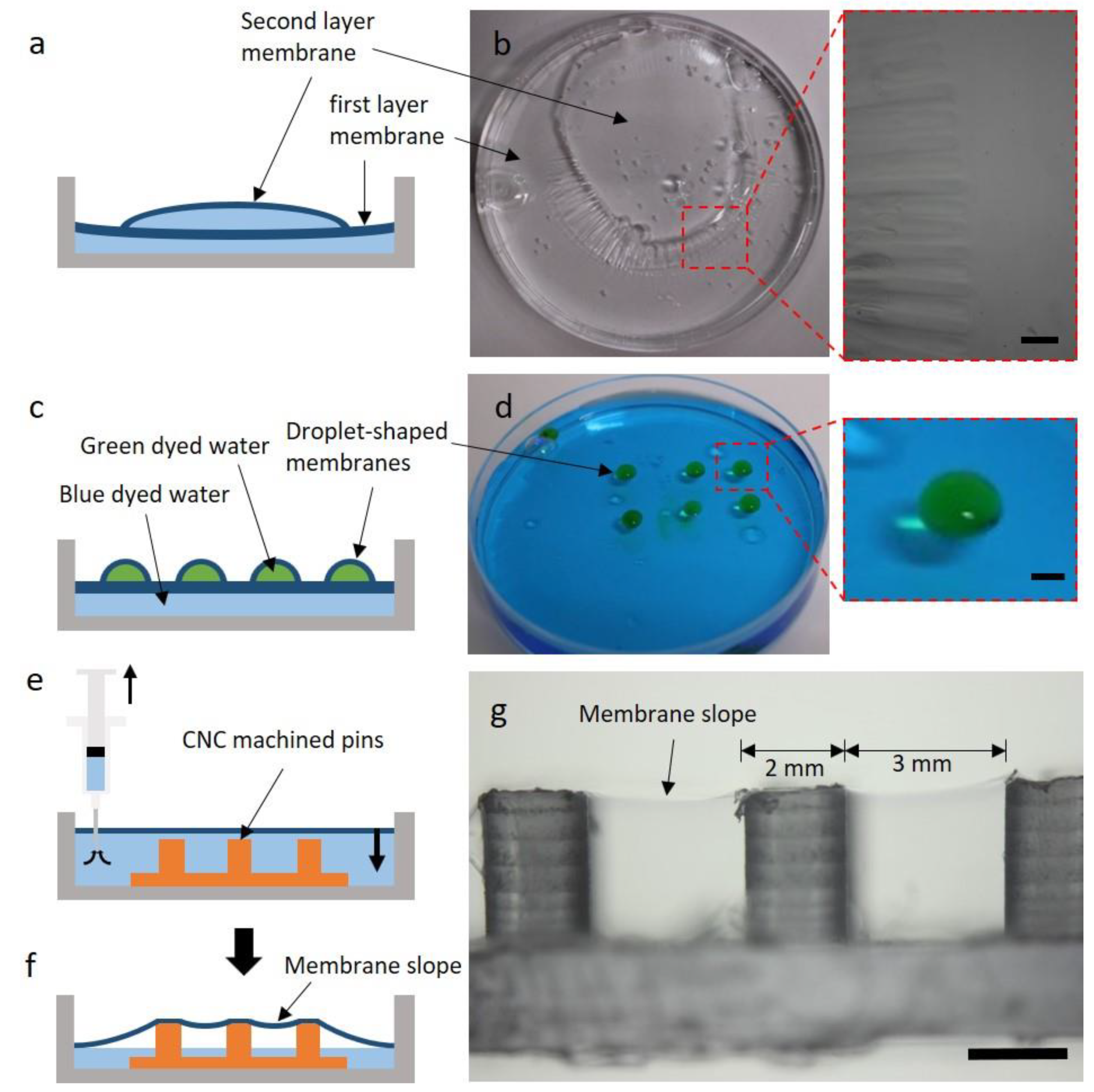 Polymers 11 01264 g005