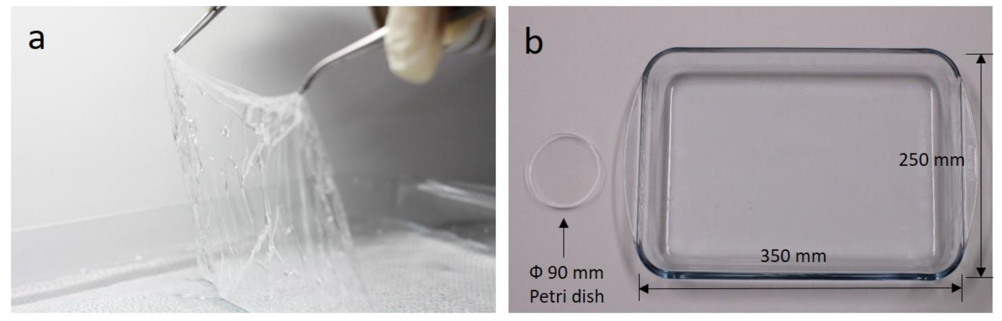 Polymers 11 01264 g006