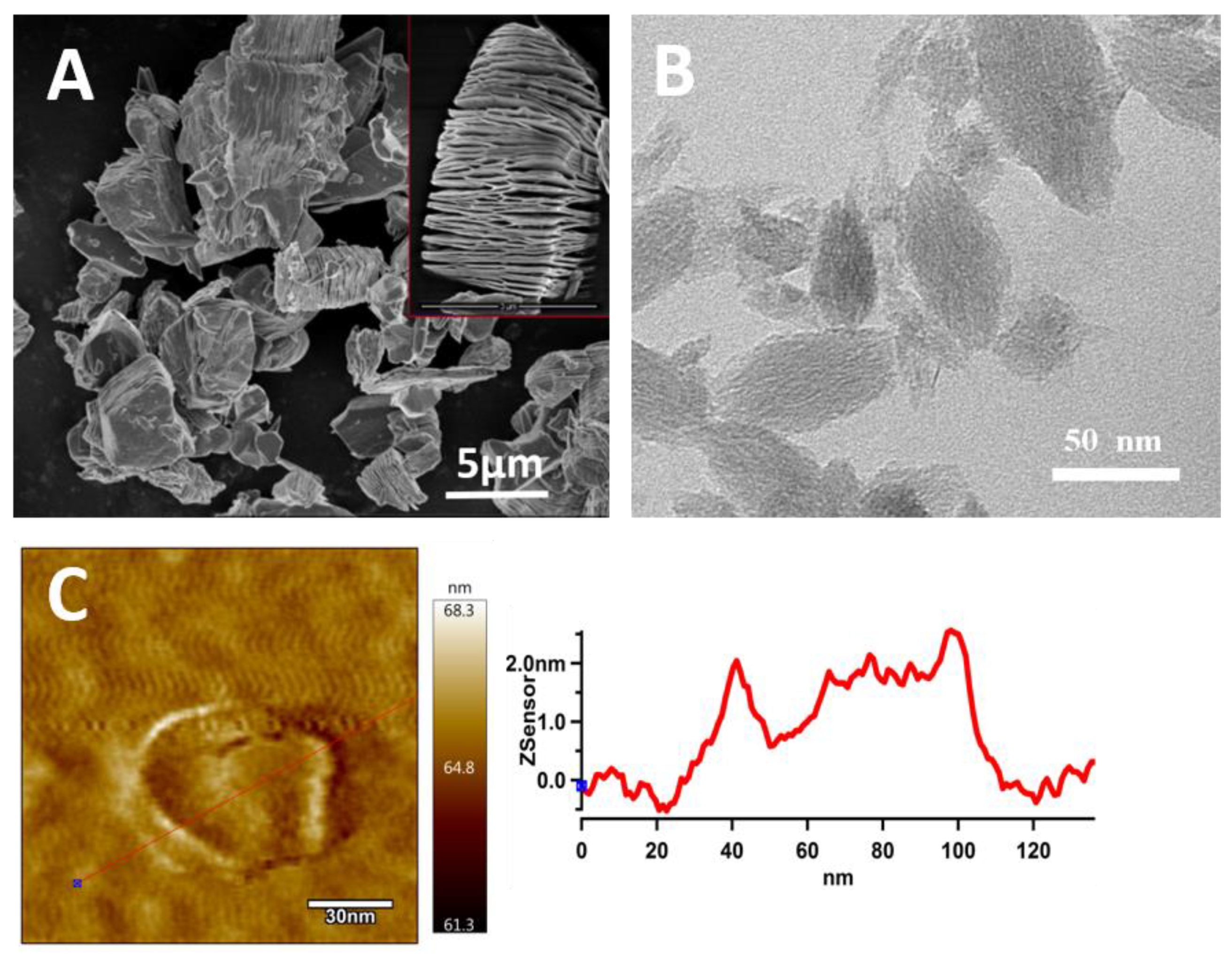 Polymers 11 01272 g001 Polymers 11 01272 g001