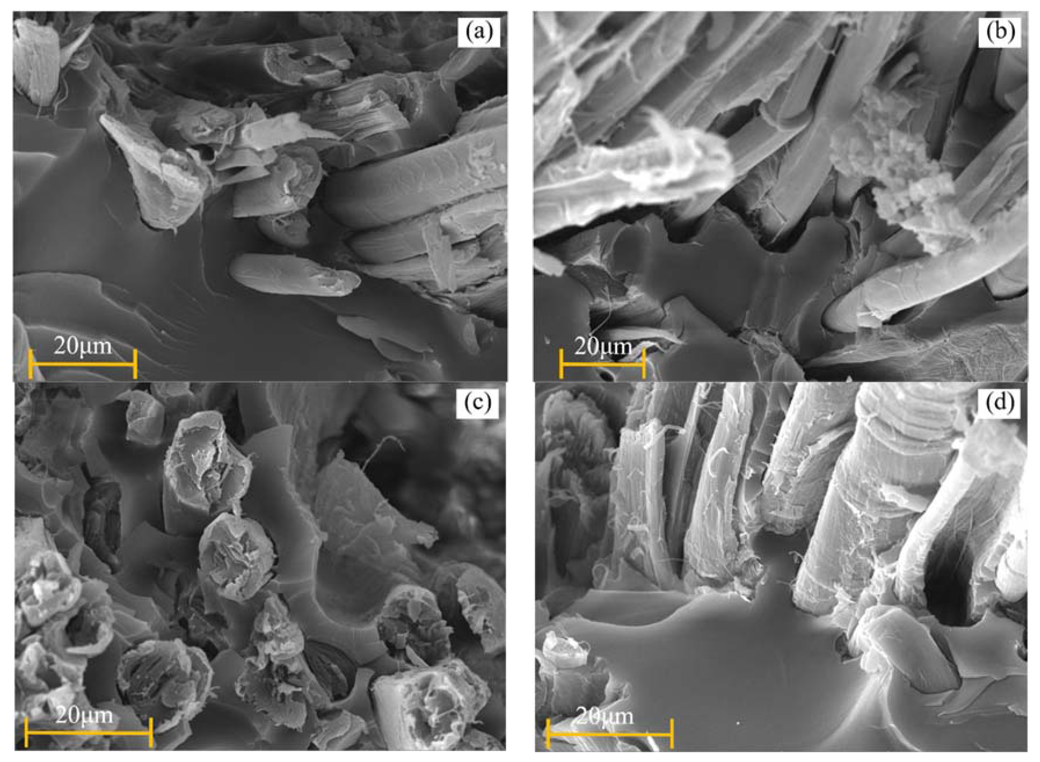Polymers 11 01278 g013