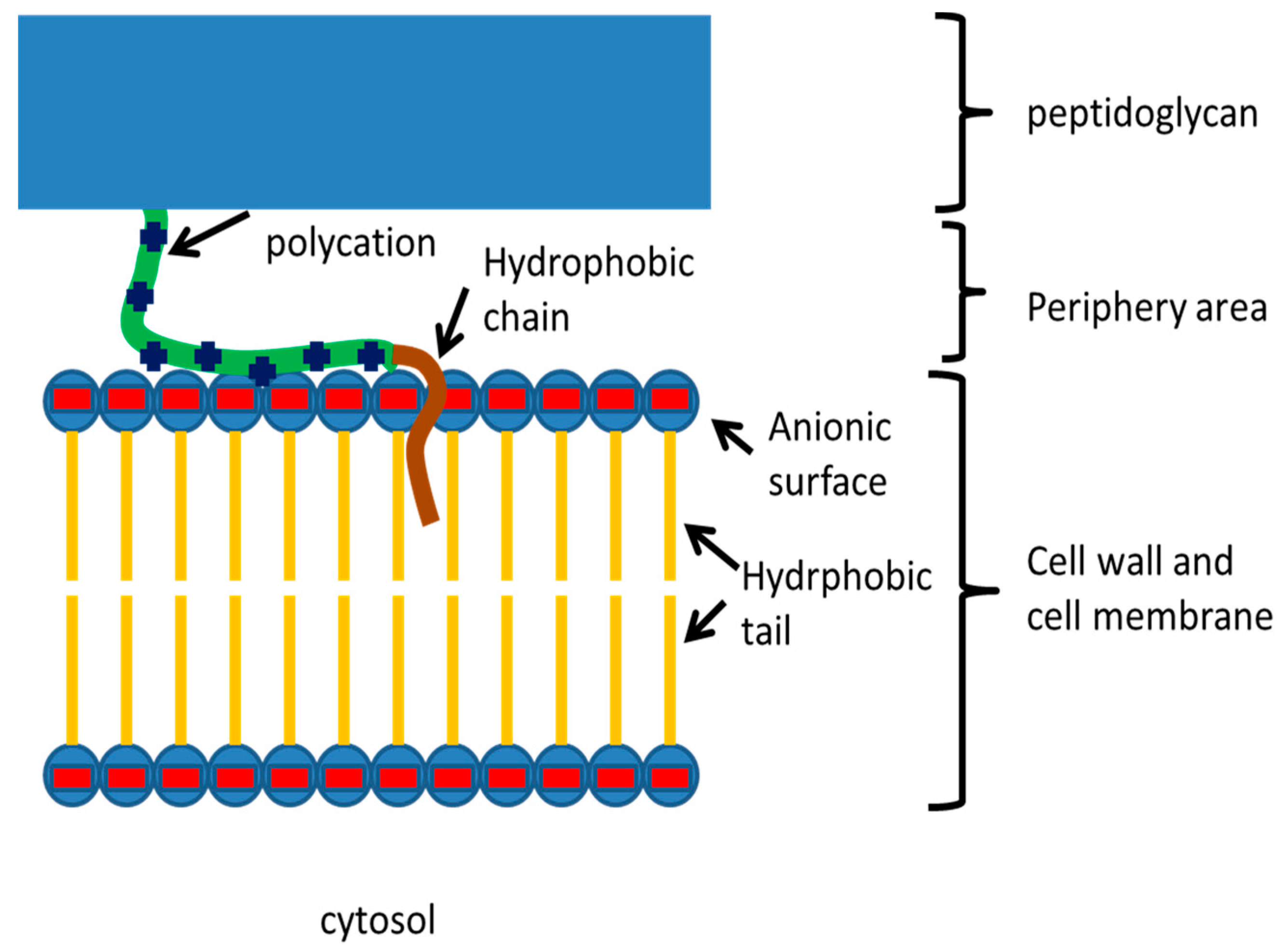 Polymers 11 01283 g001
