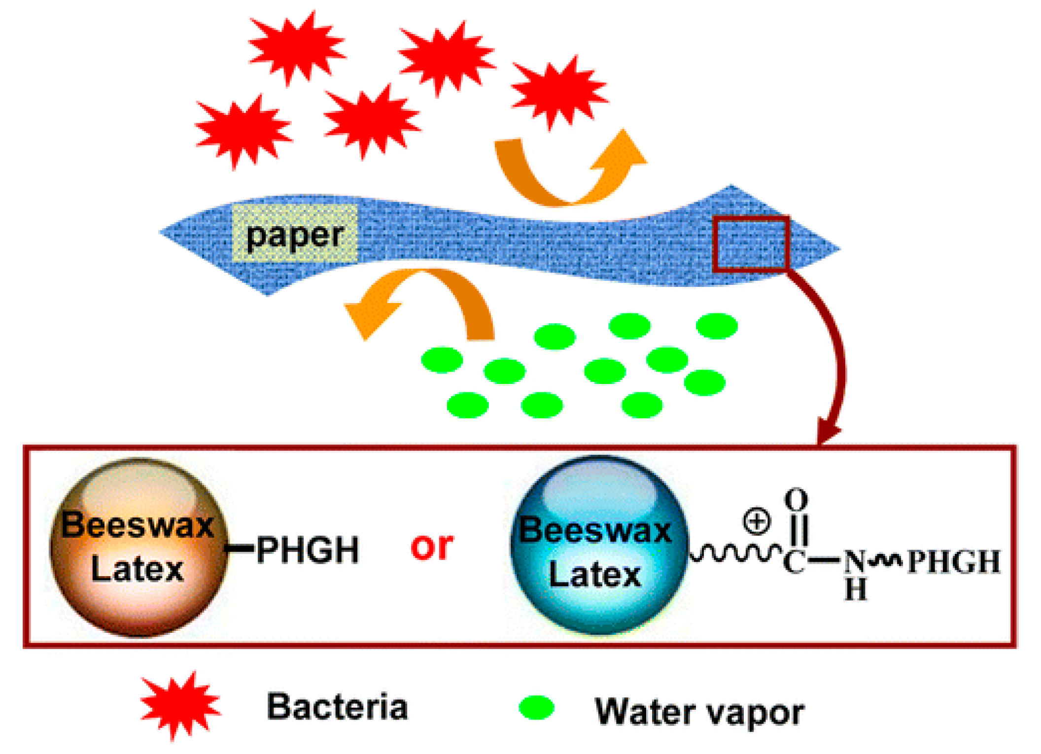 Polymers 11 01283 g005