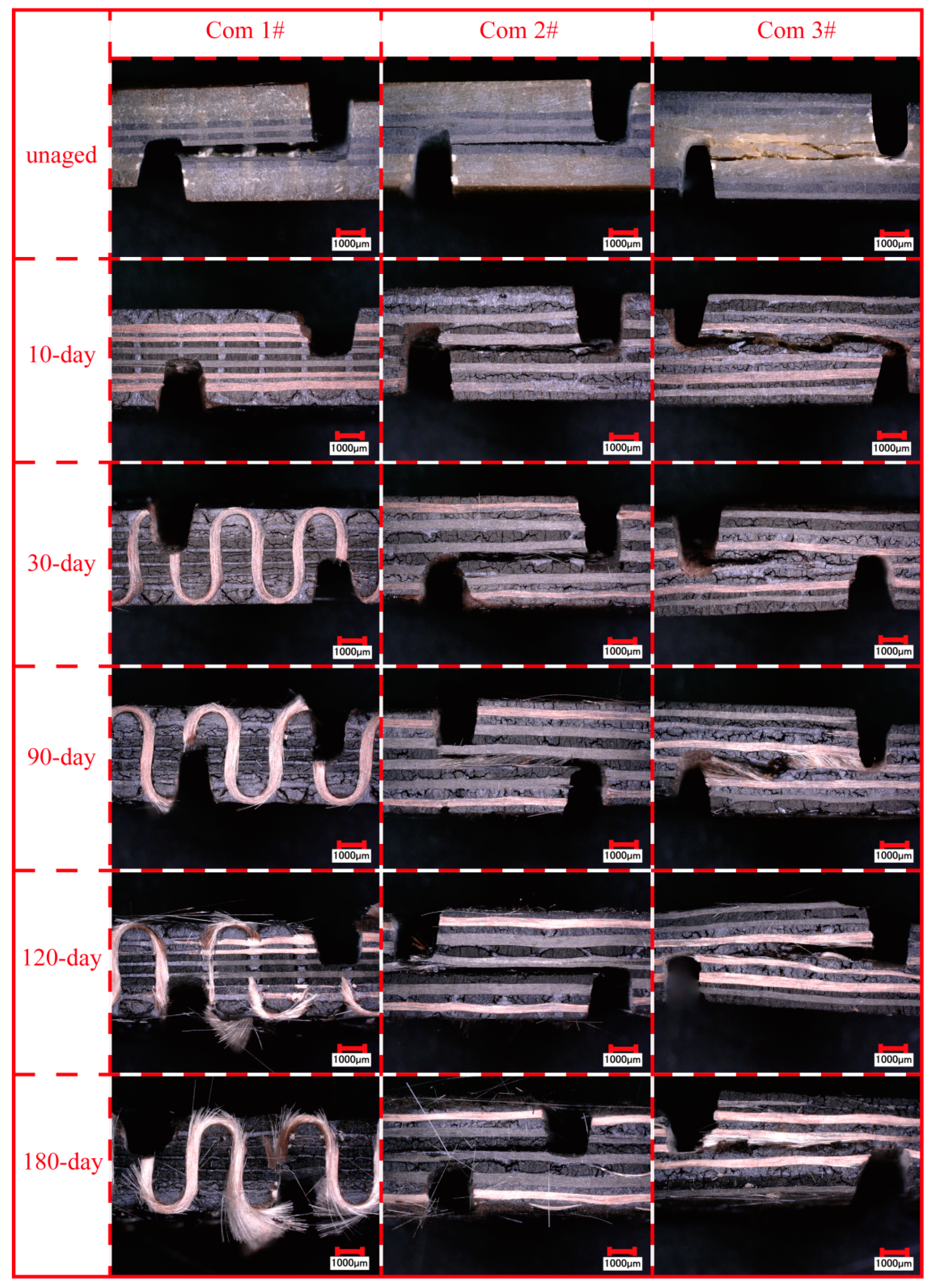 Polymers 11 01288 g007
