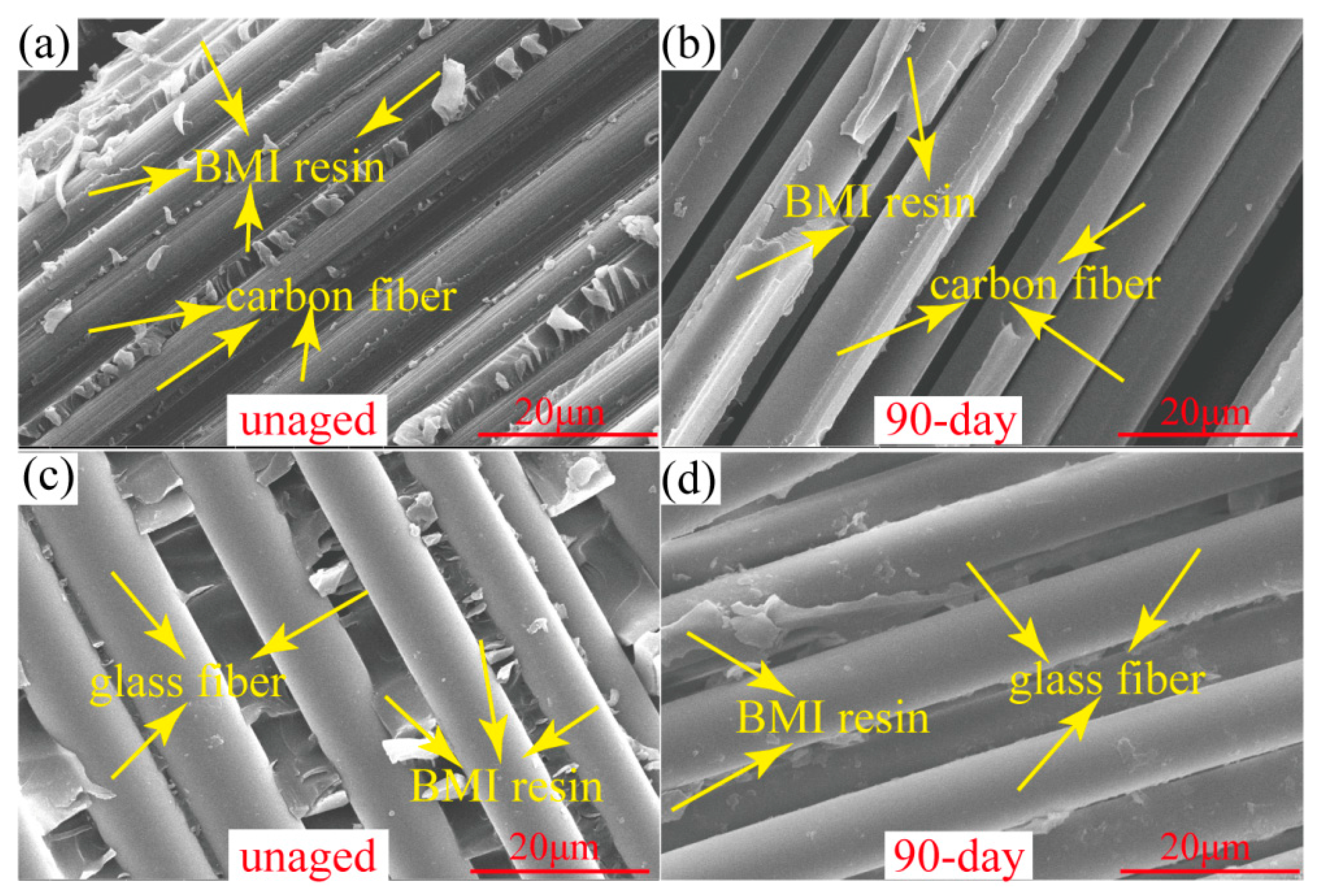 Polymers 11 01288 g009