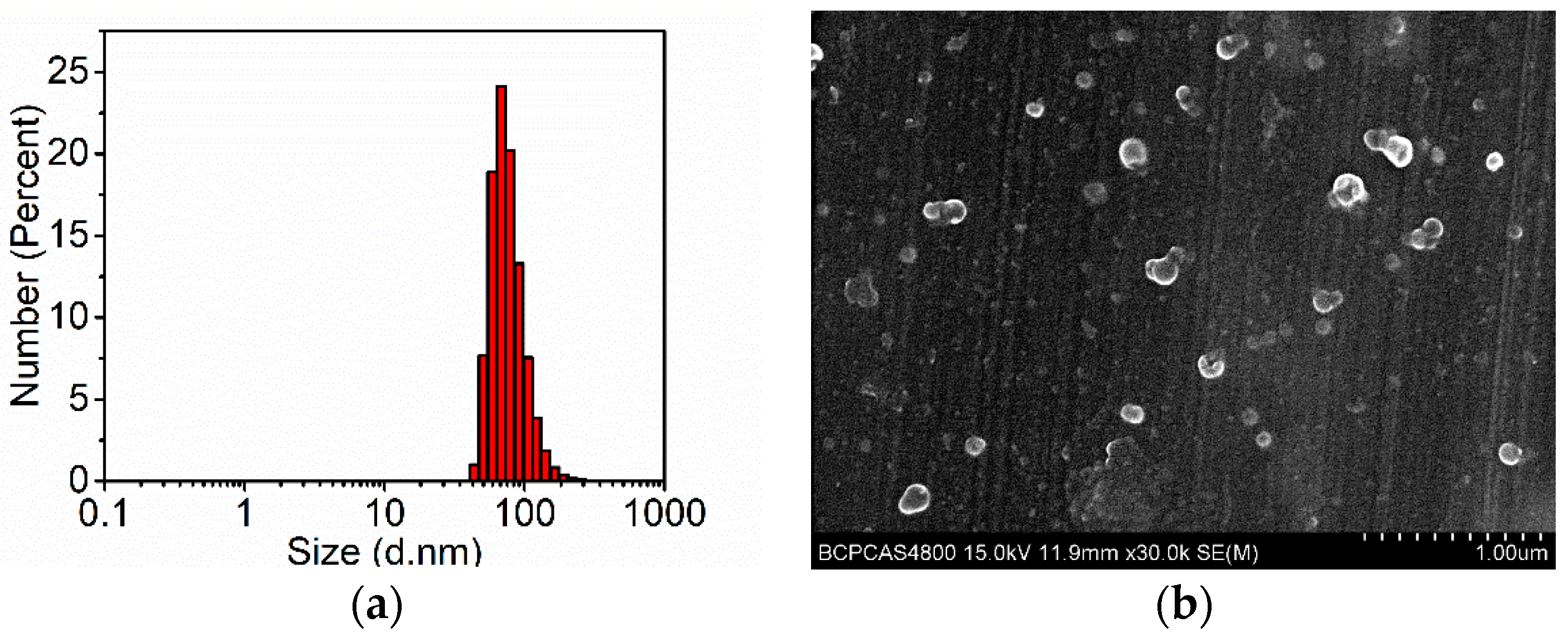 Polymers 11 01290 g004 Polymers 11 01290 g004