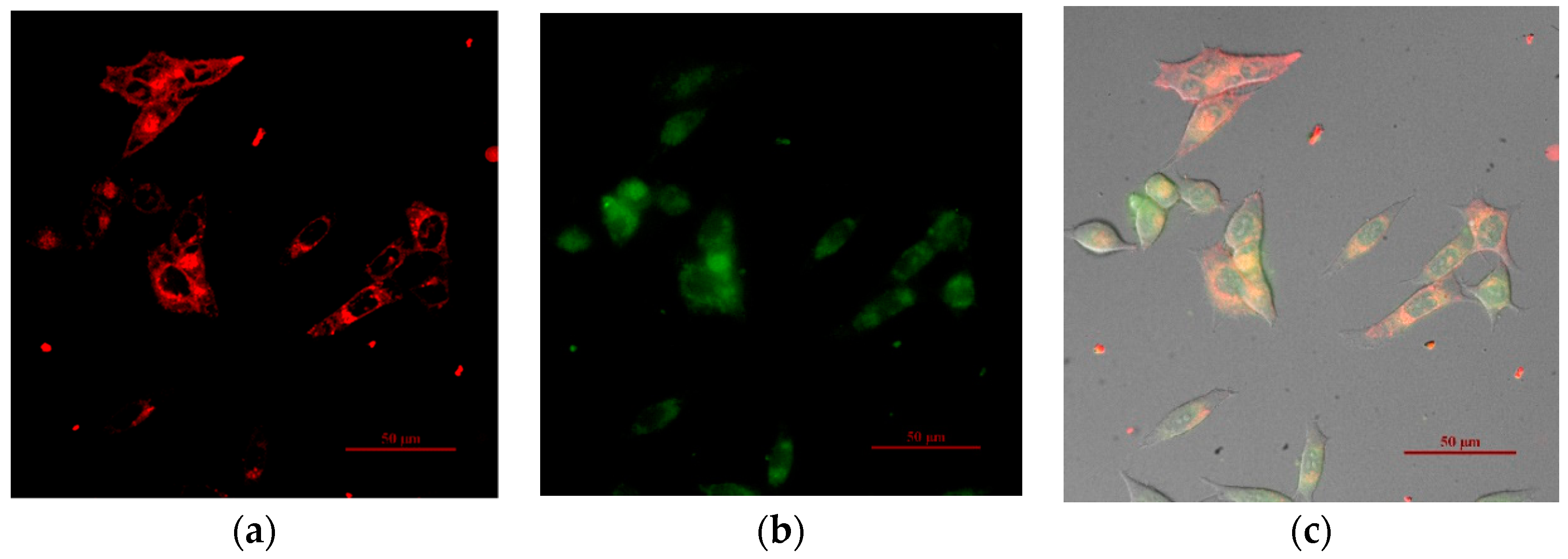 Polymers 11 01290 g006 Polymers 11 01290 g006
