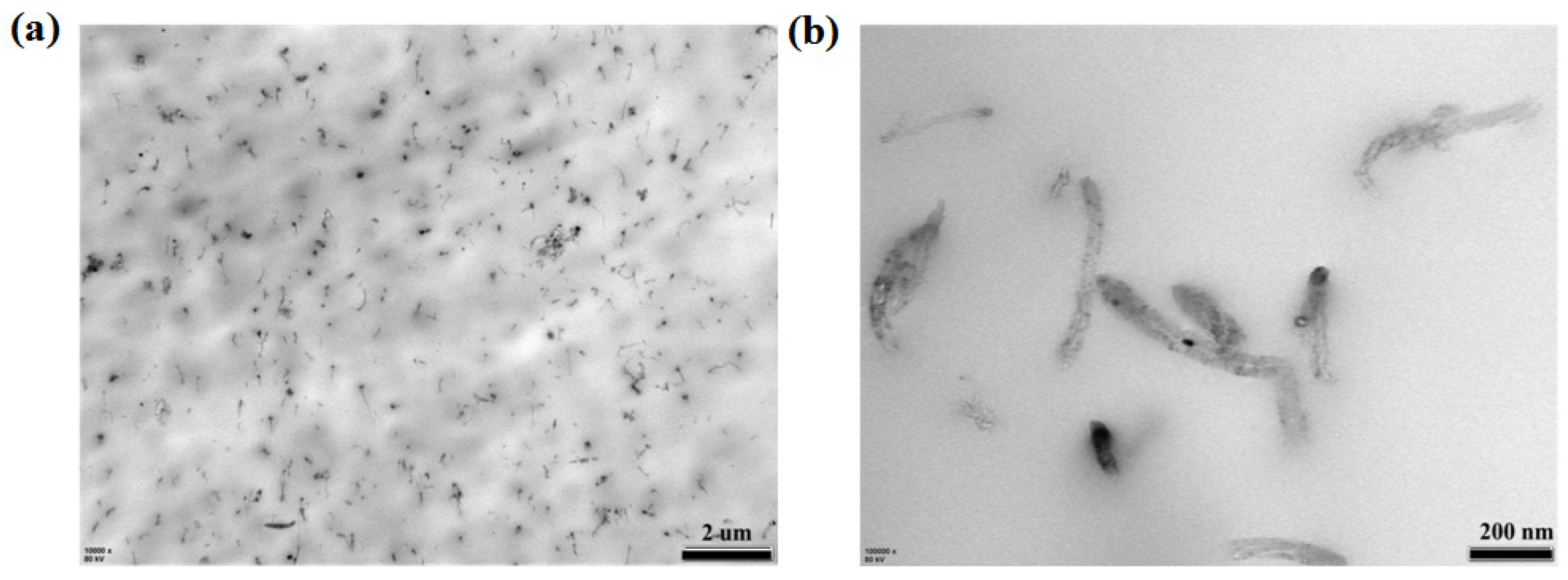 Polymers 11 01294 g003