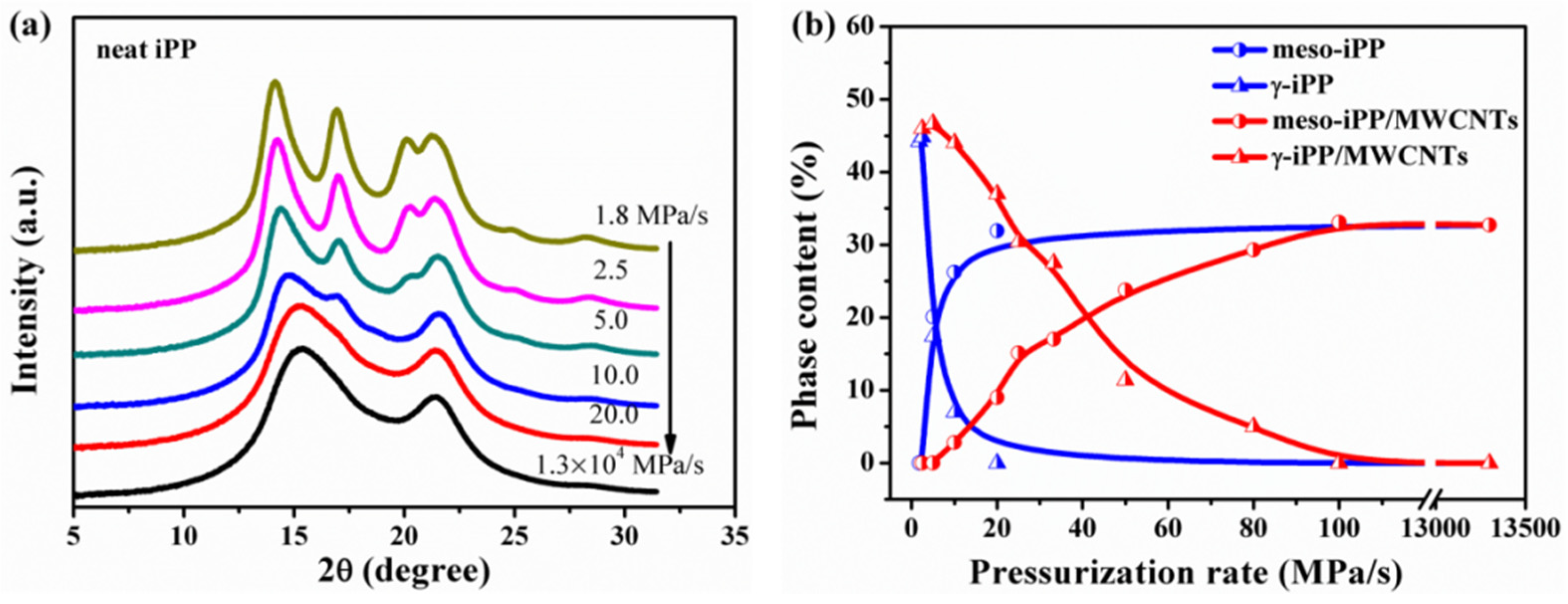 Polymers 11 01294 g005