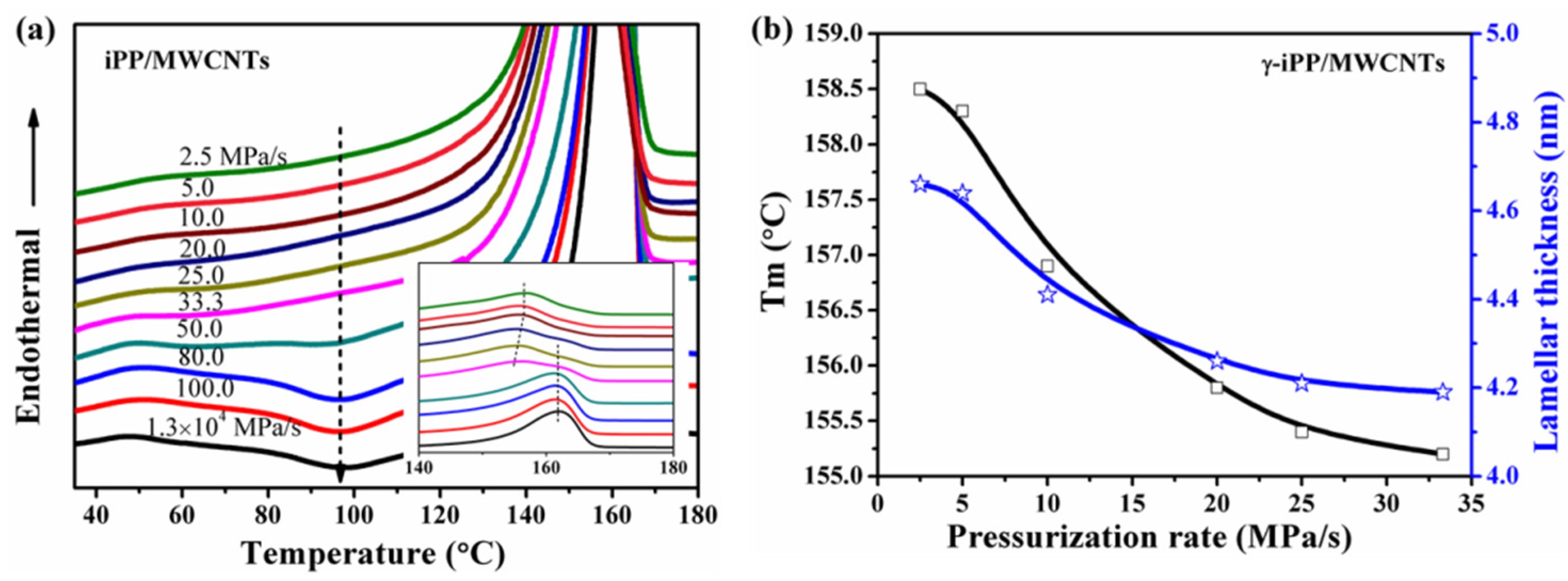 Polymers 11 01294 g009