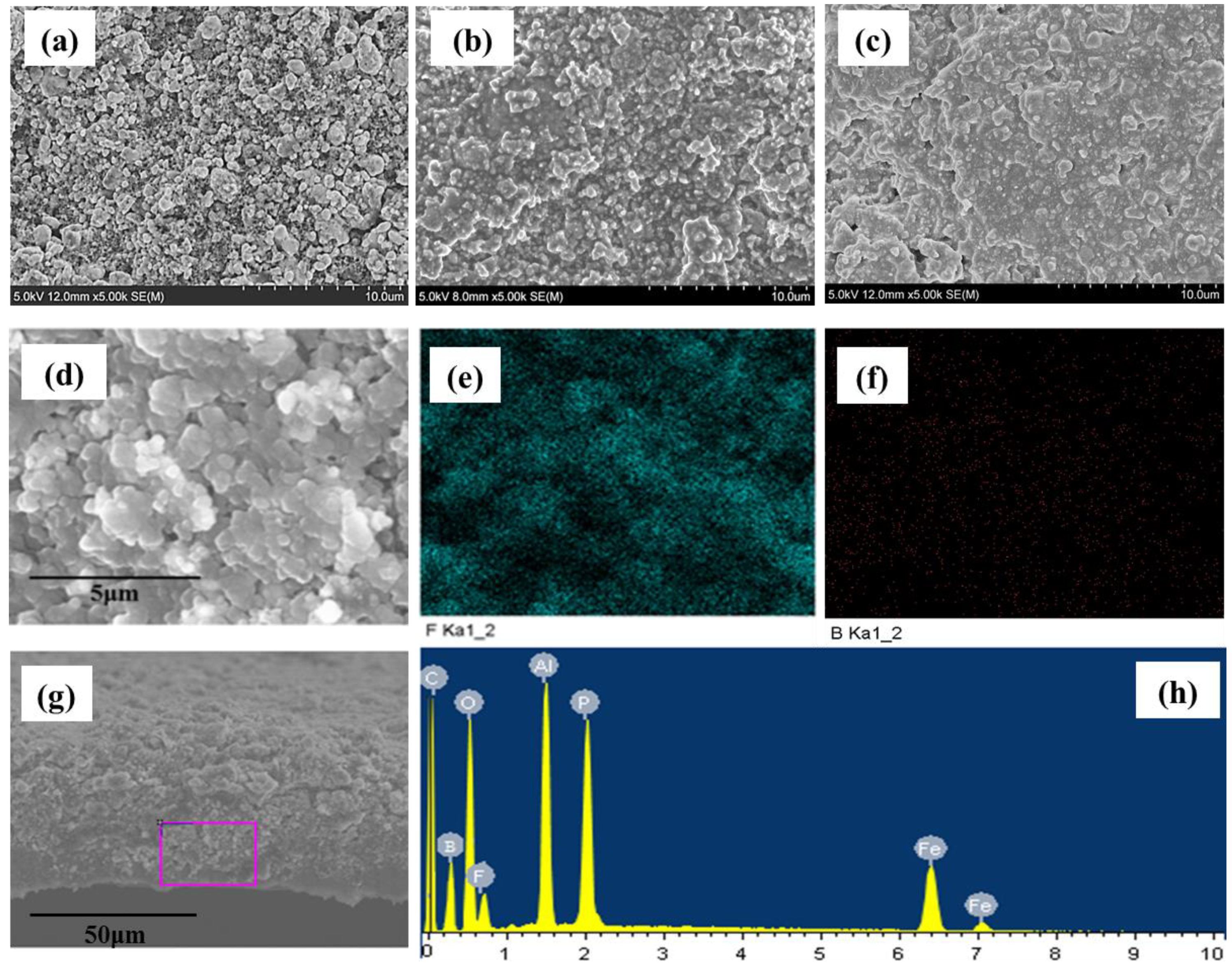 Polymers 11 01296 g010