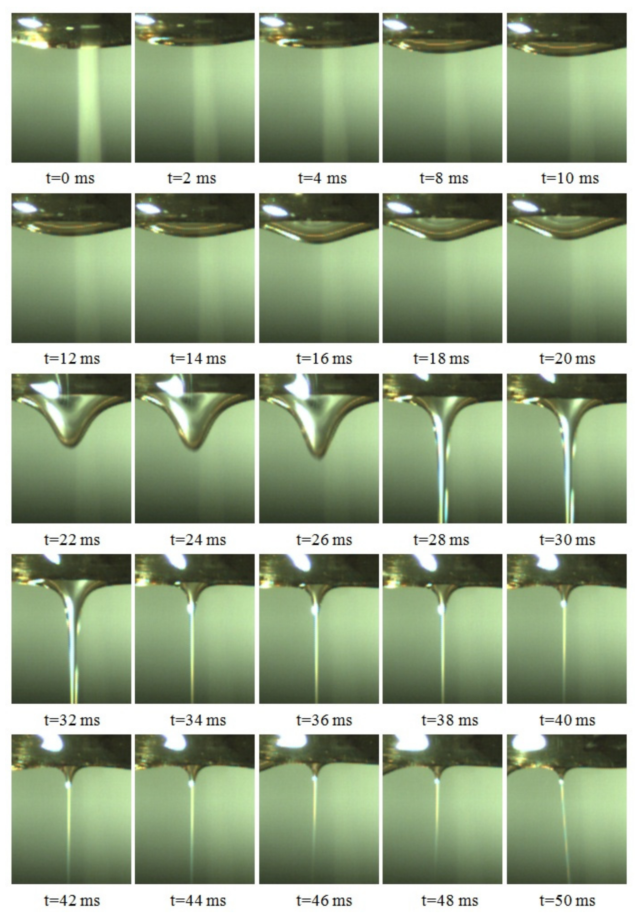 Polymers 11 01301 g003