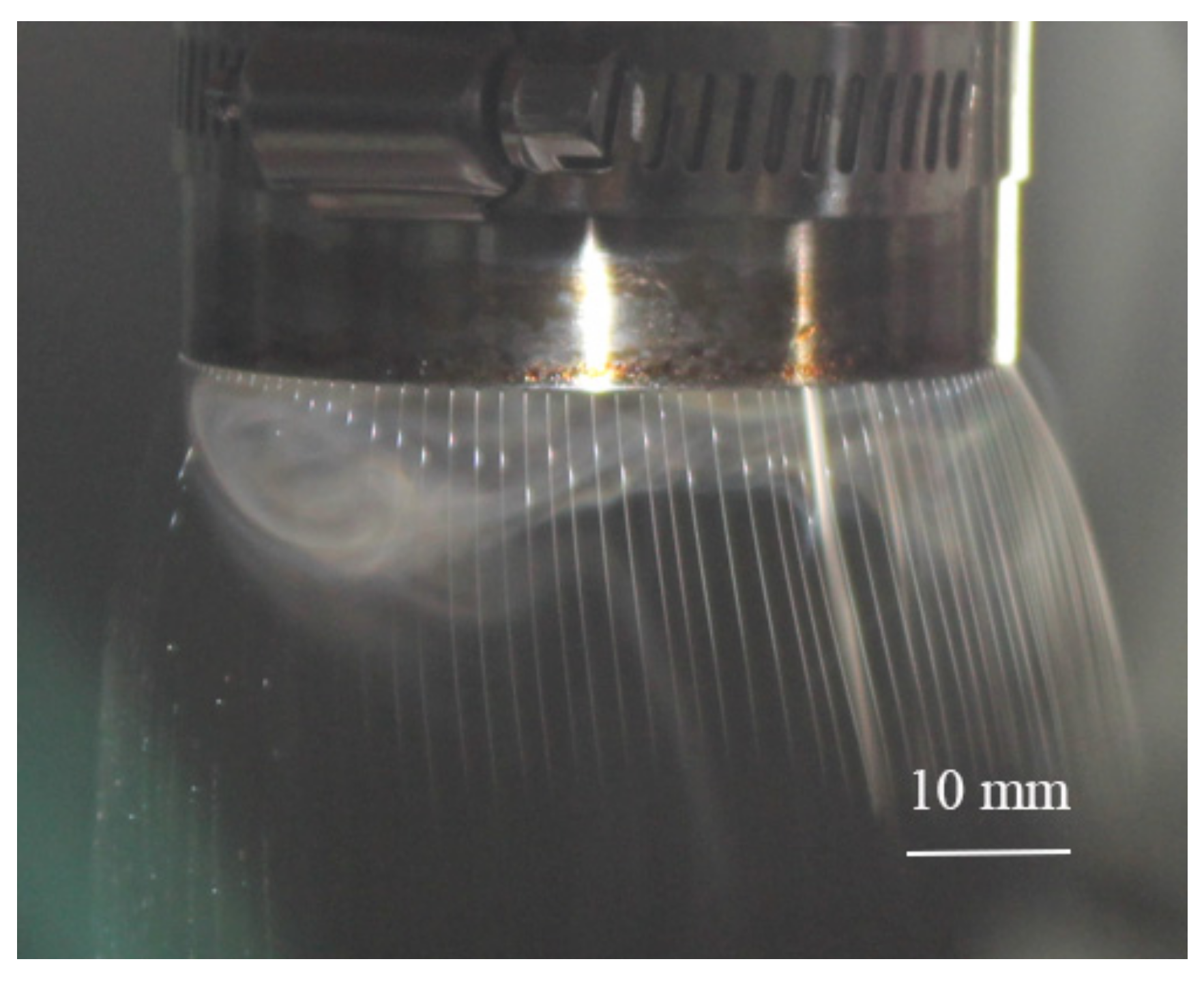 Polymers 11 01301 g013