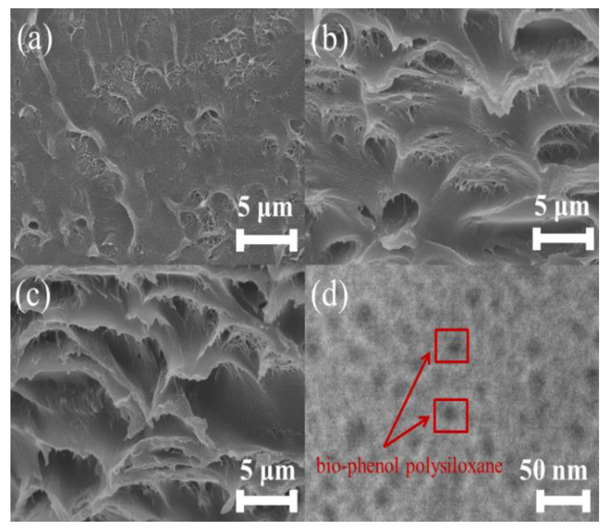 Polymers 11 01302 g004