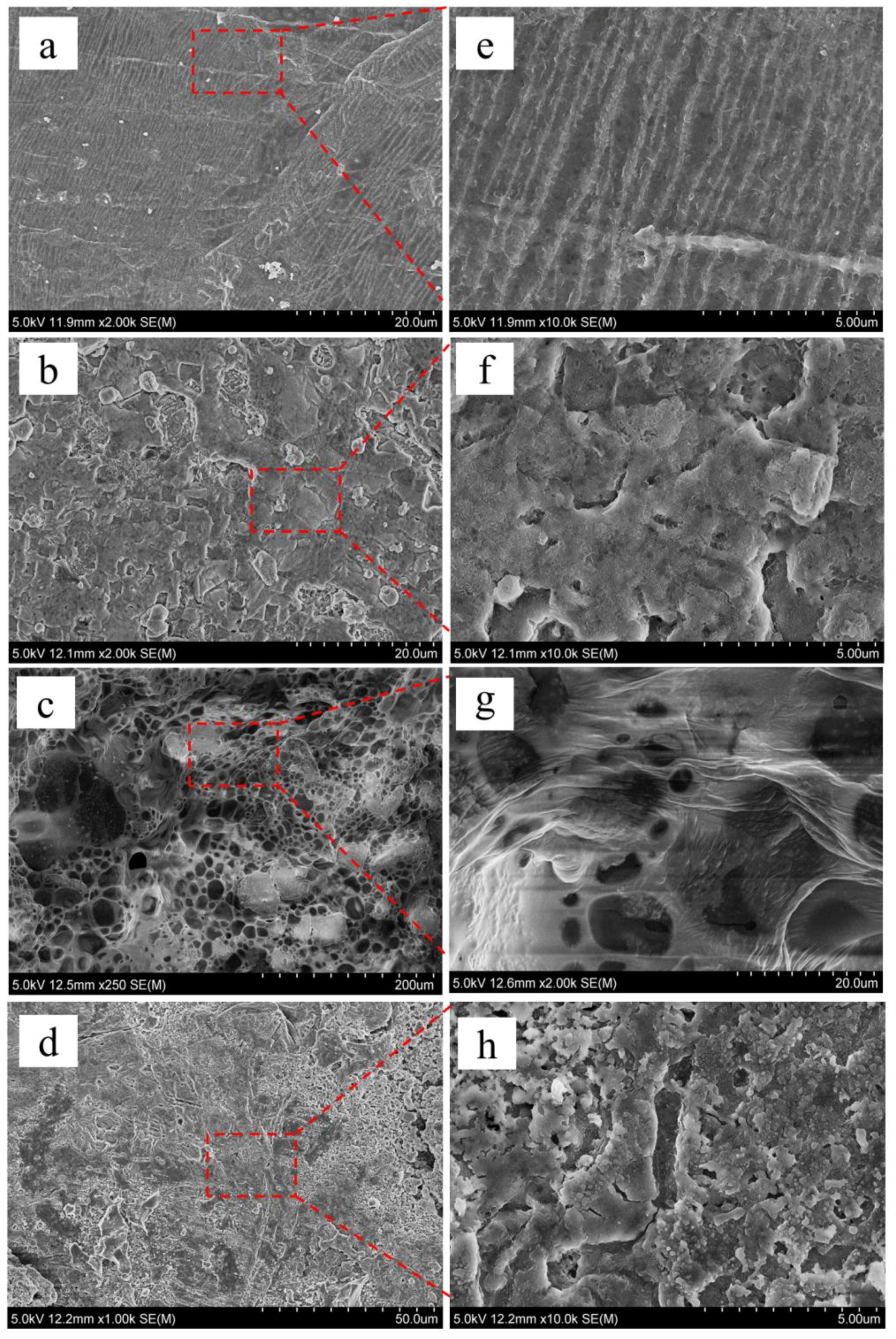 Polymers 11 01306 g007