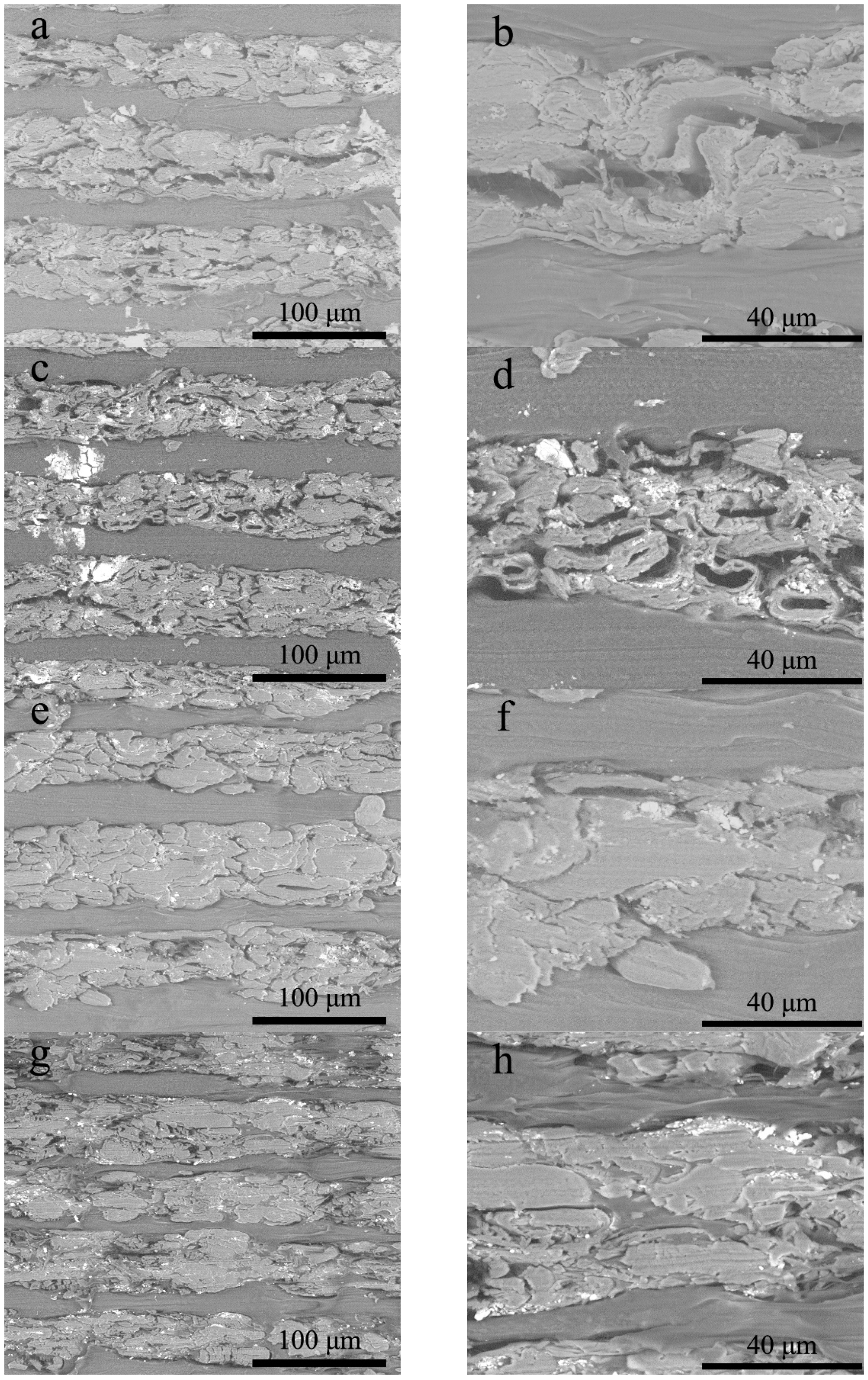 Polymers 11 01311 g008