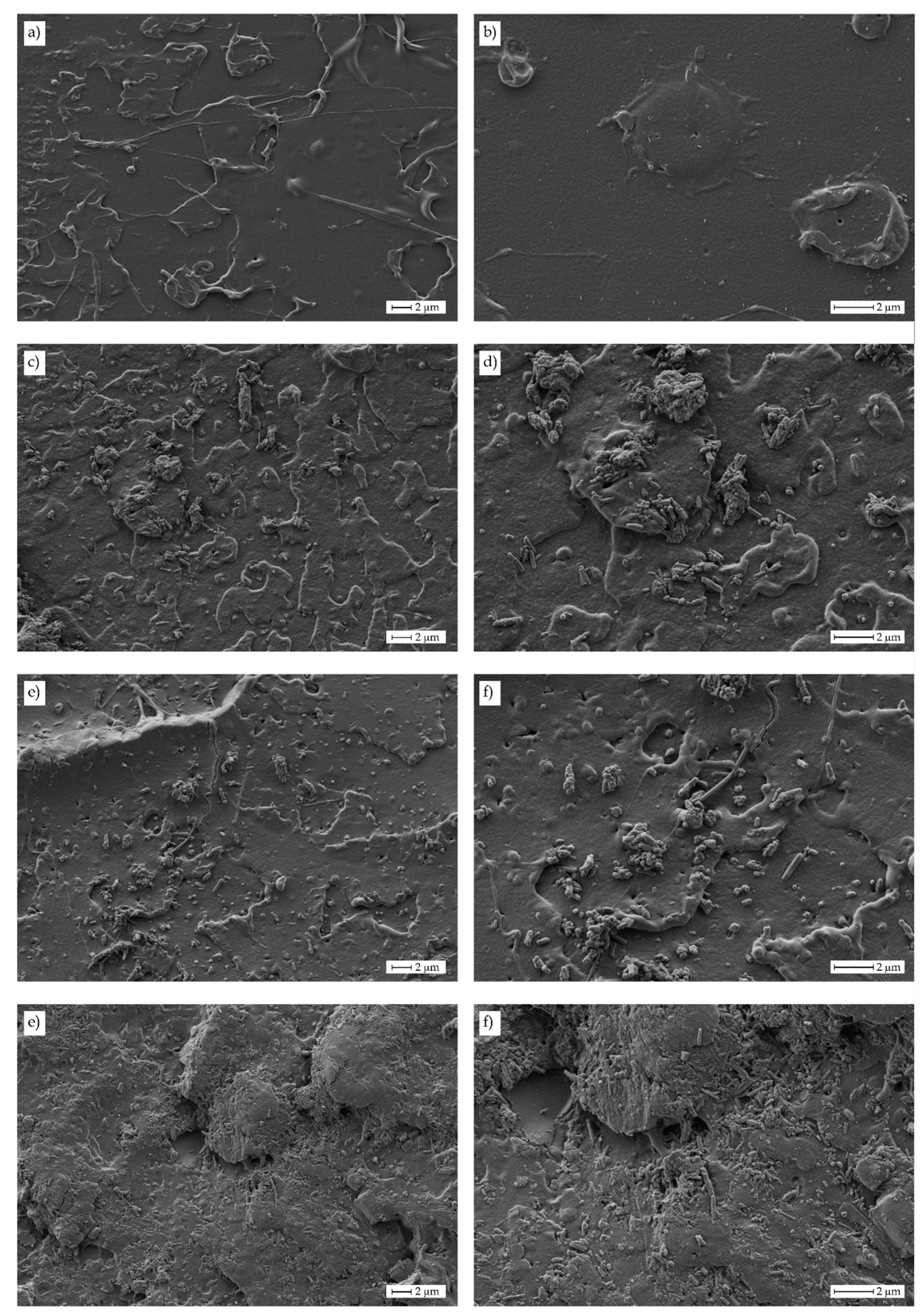 Polymers 11 01314 g003