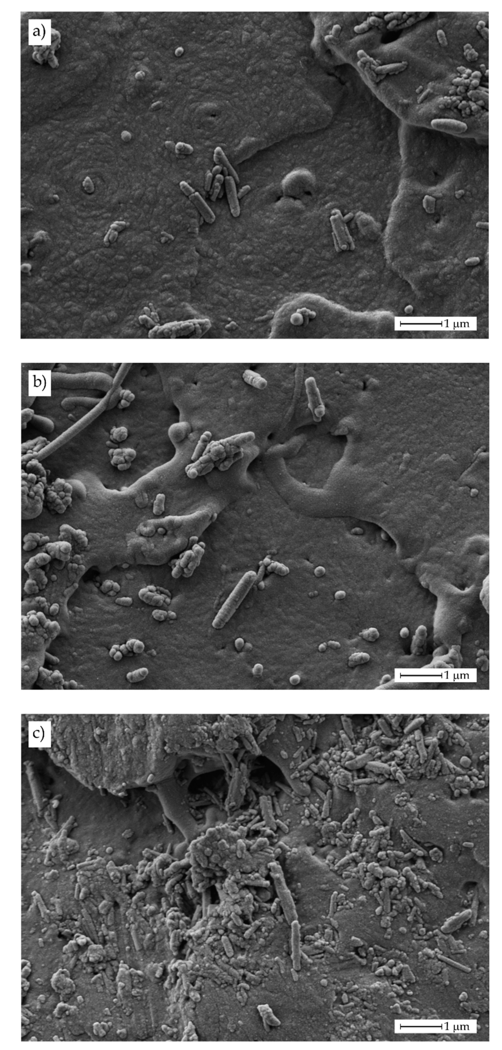 Polymers 11 01314 g004
