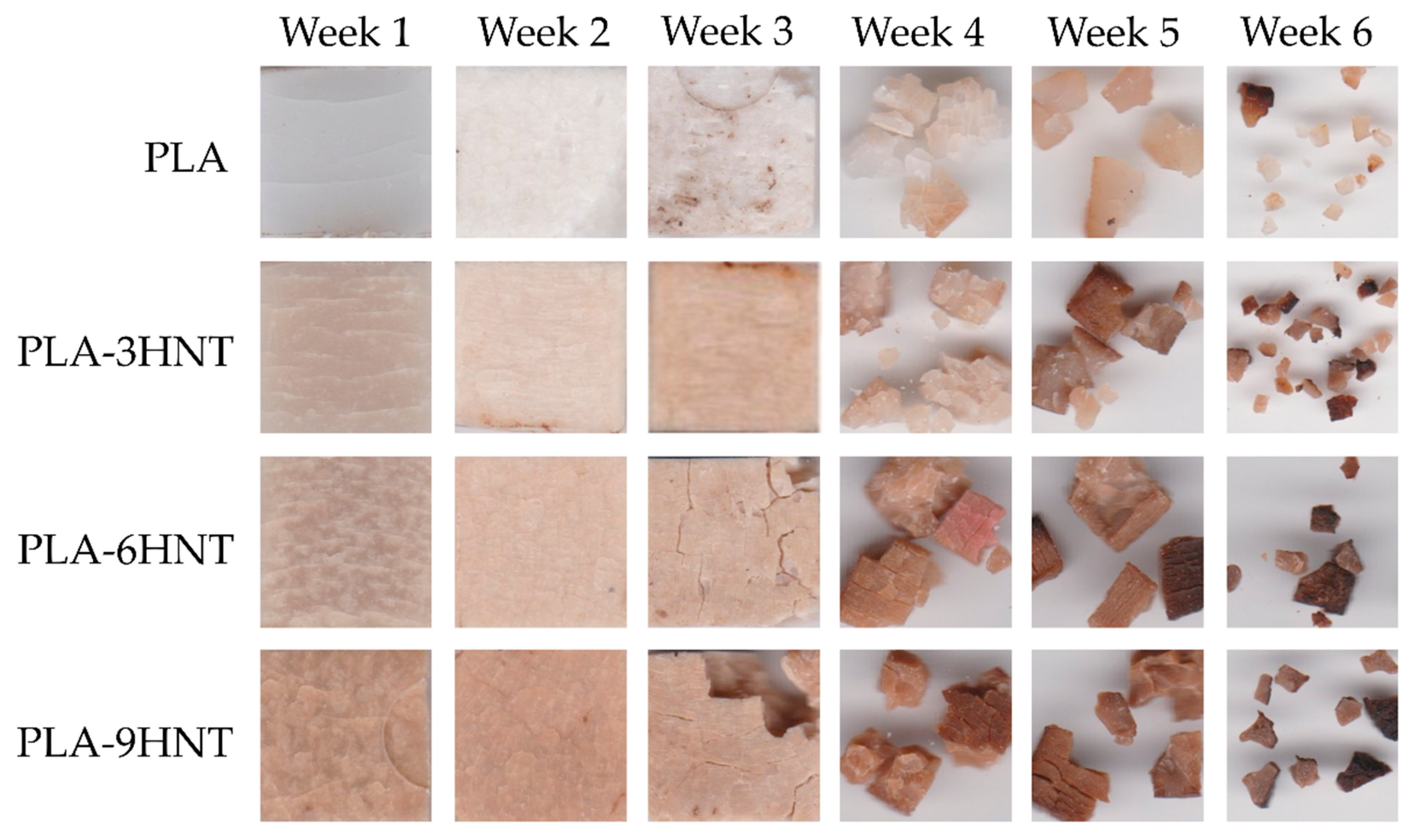 Polymers 11 01314 g010