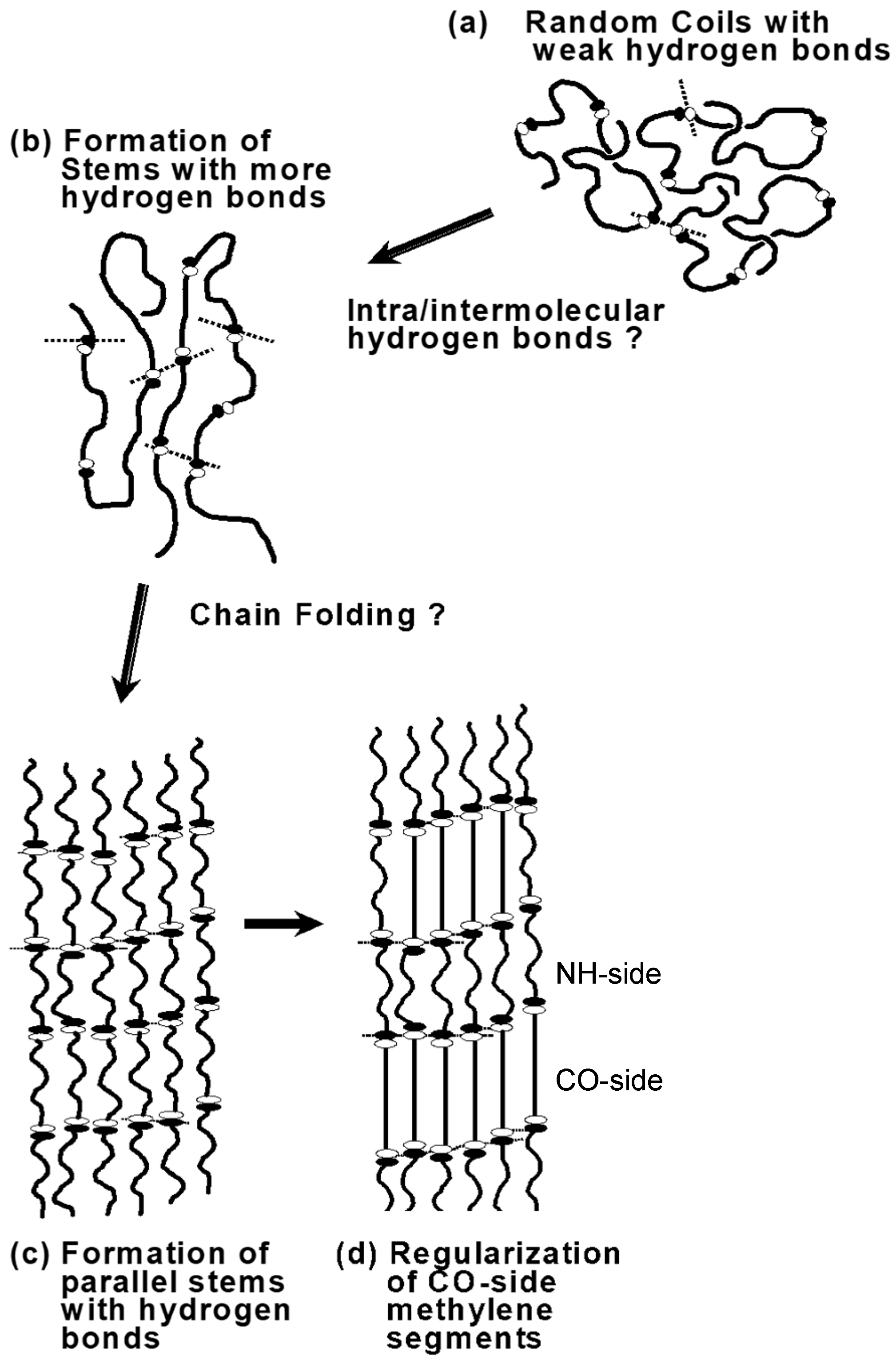 Polymers 11 01316 g014