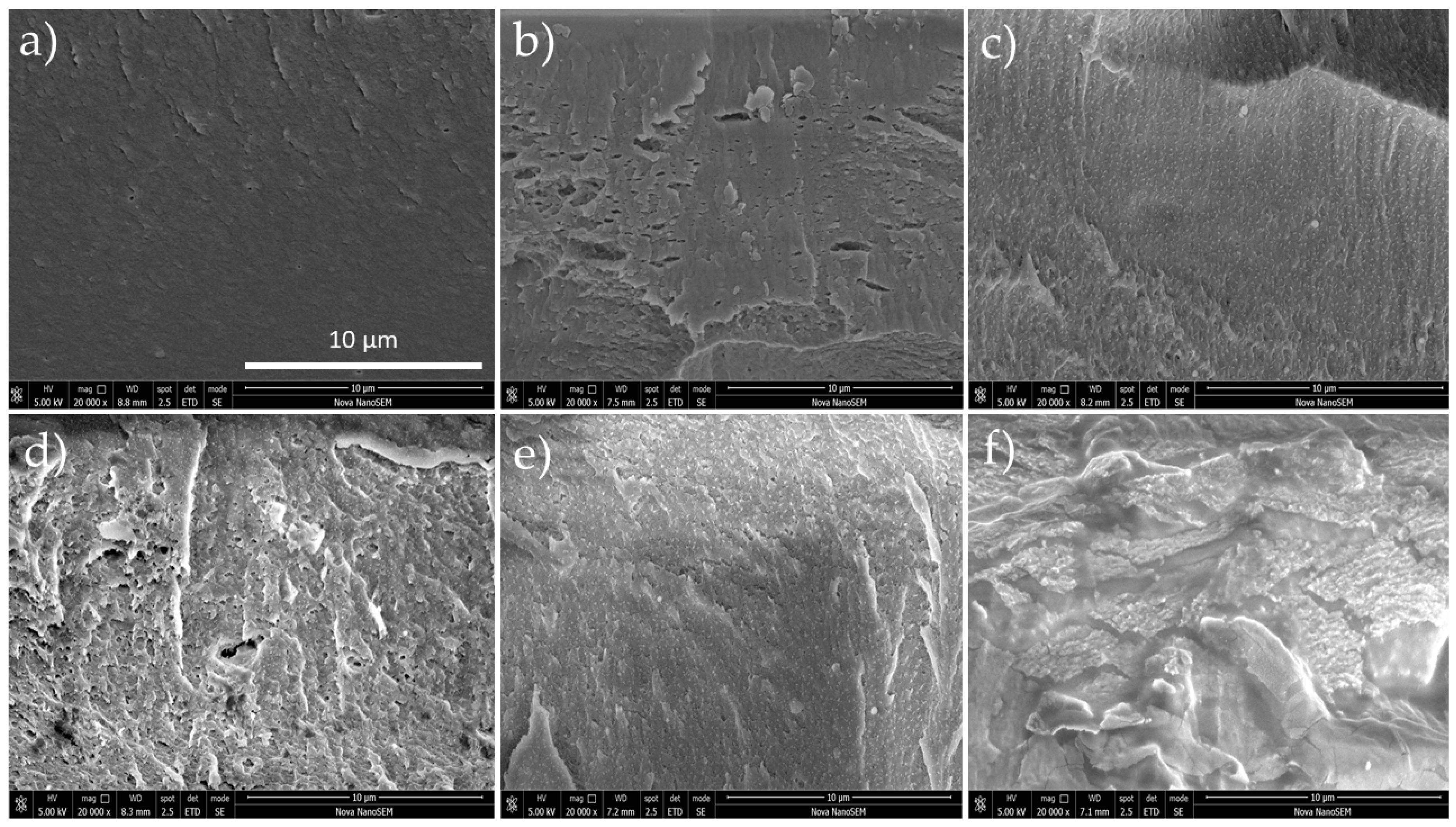 Polymers 11 01325 g003