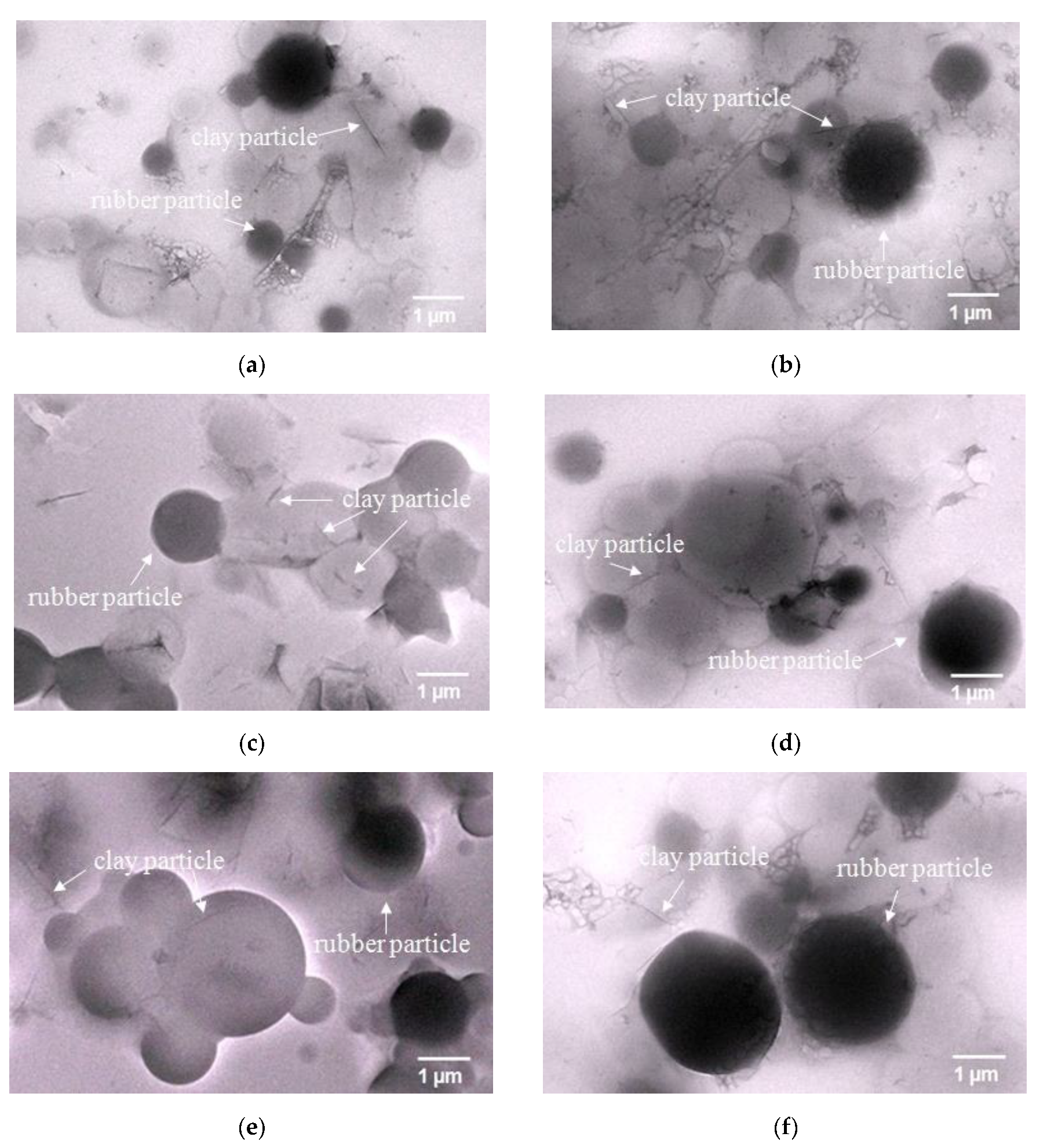 Polymers 11 01338 g004