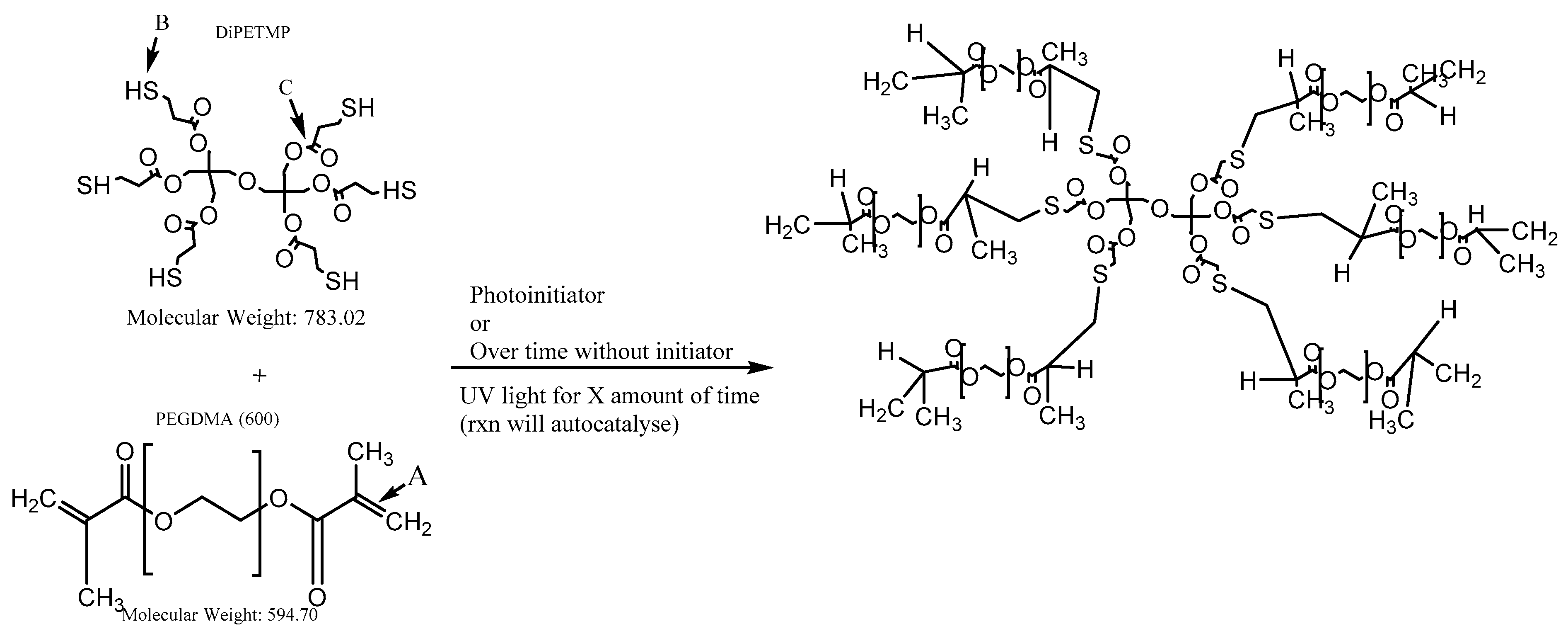 Polymers 11 01339 g001