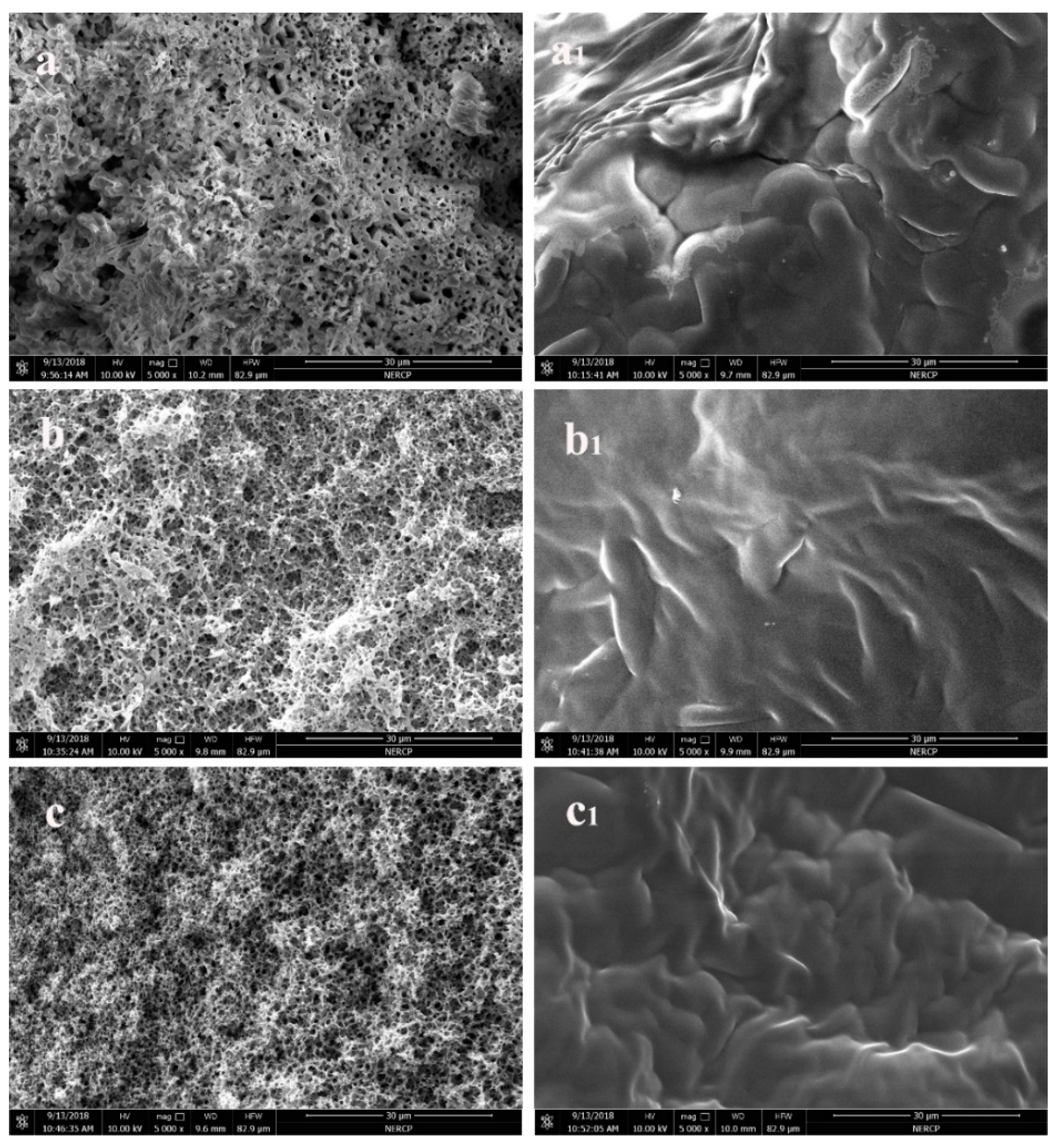 Polymers 11 01343 g003 Polymers 11 01343 g003