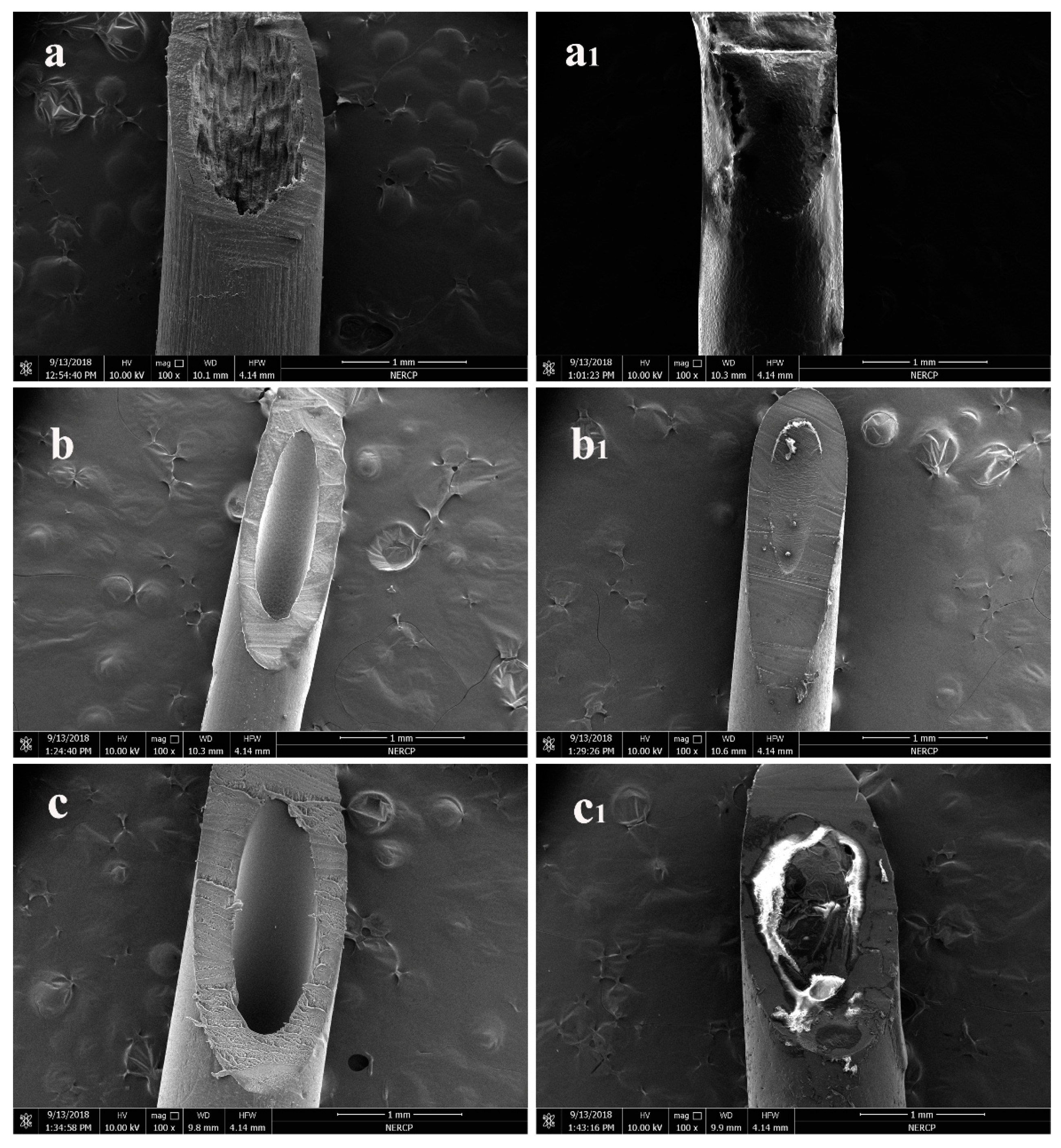 Polymers 11 01343 g004 Polymers 11 01343 g004