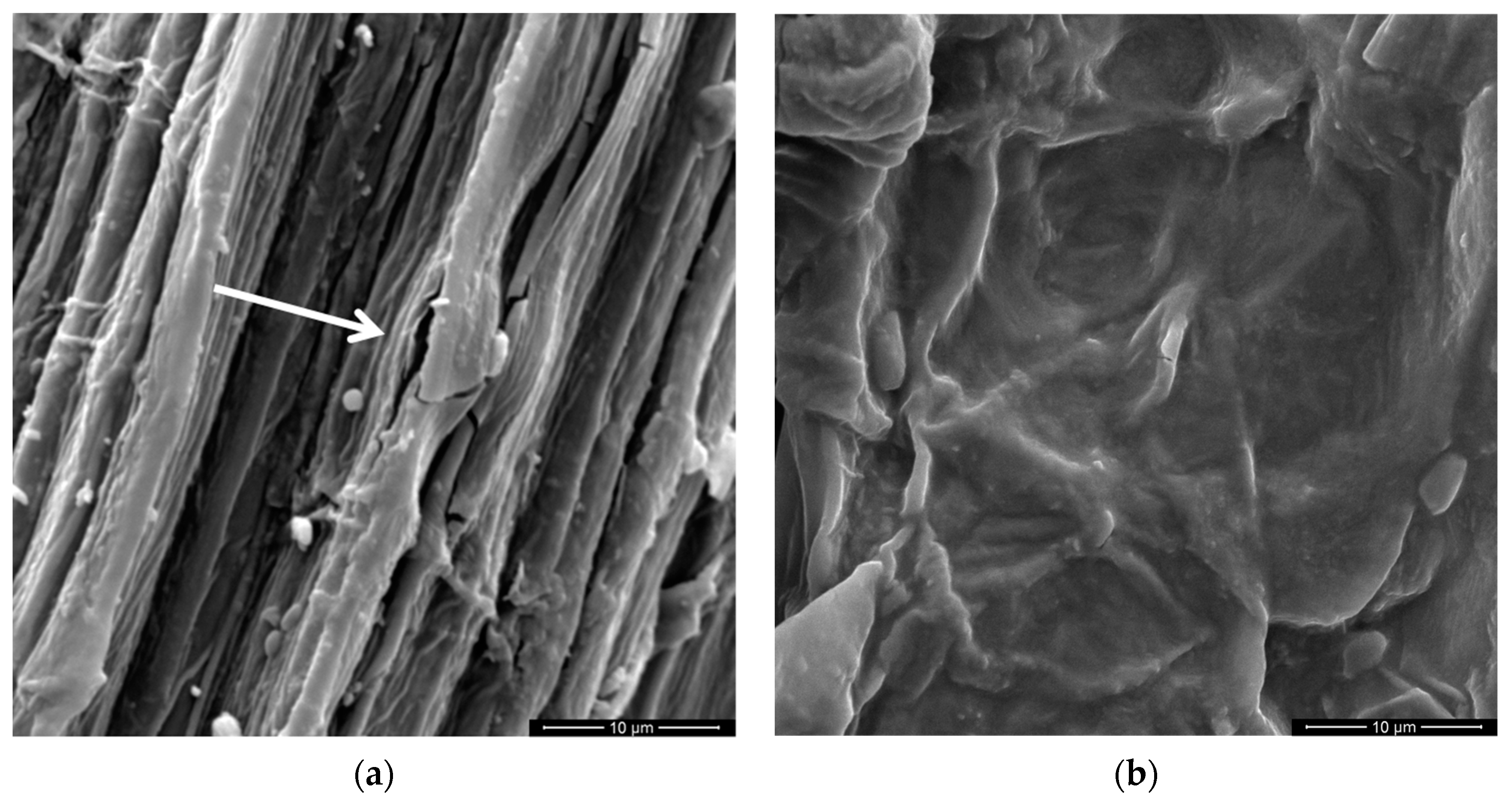 Polymers 11 01356 g009 Polymers 11 01356 g009