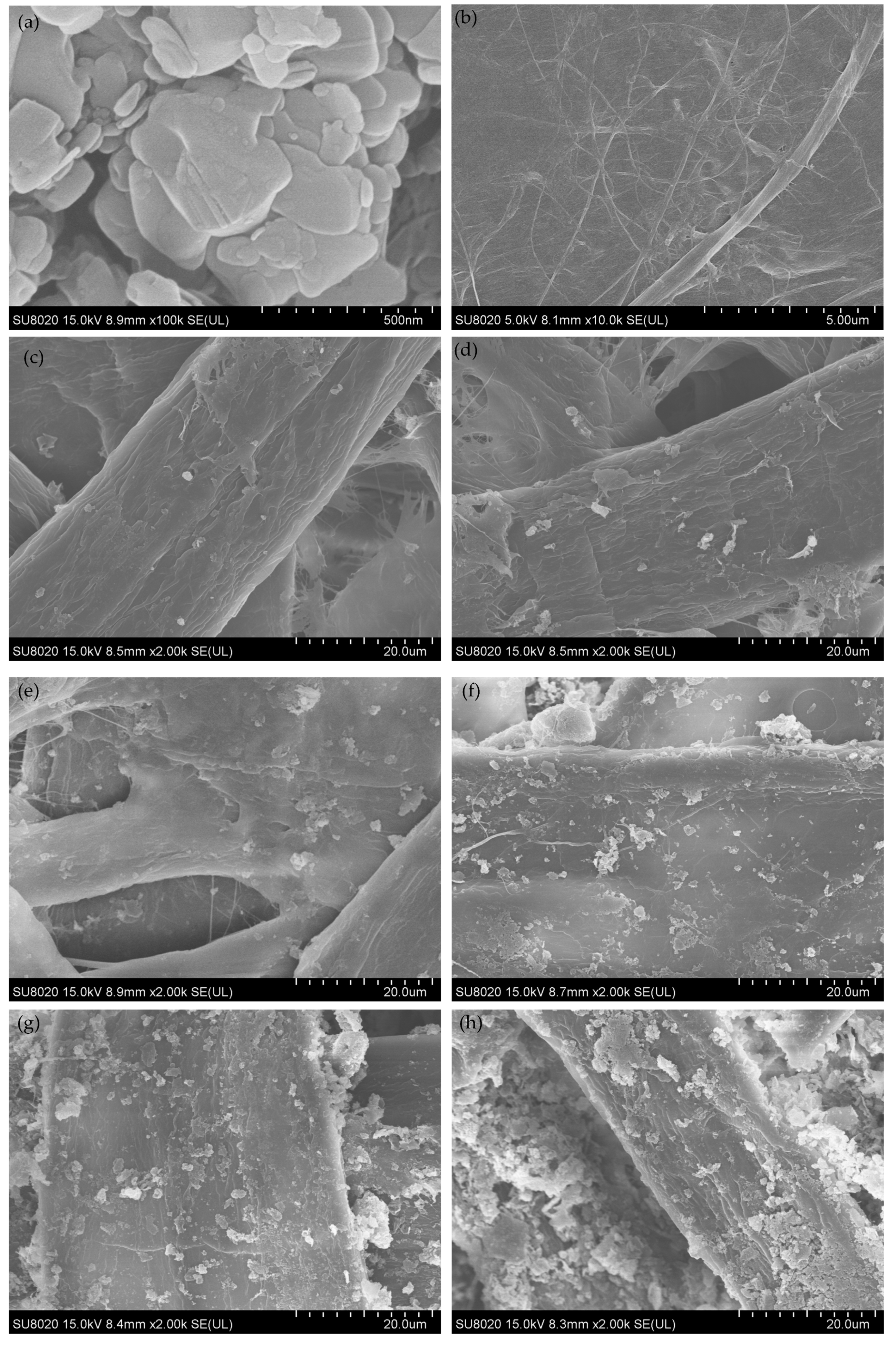 Polymers 11 01359 g003