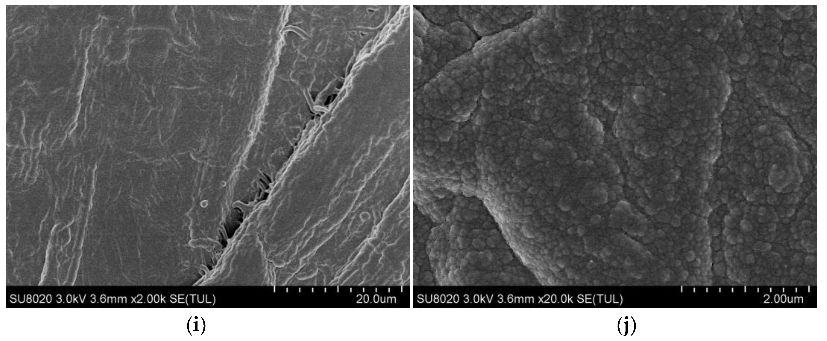 Polymers 11 01367 g004b