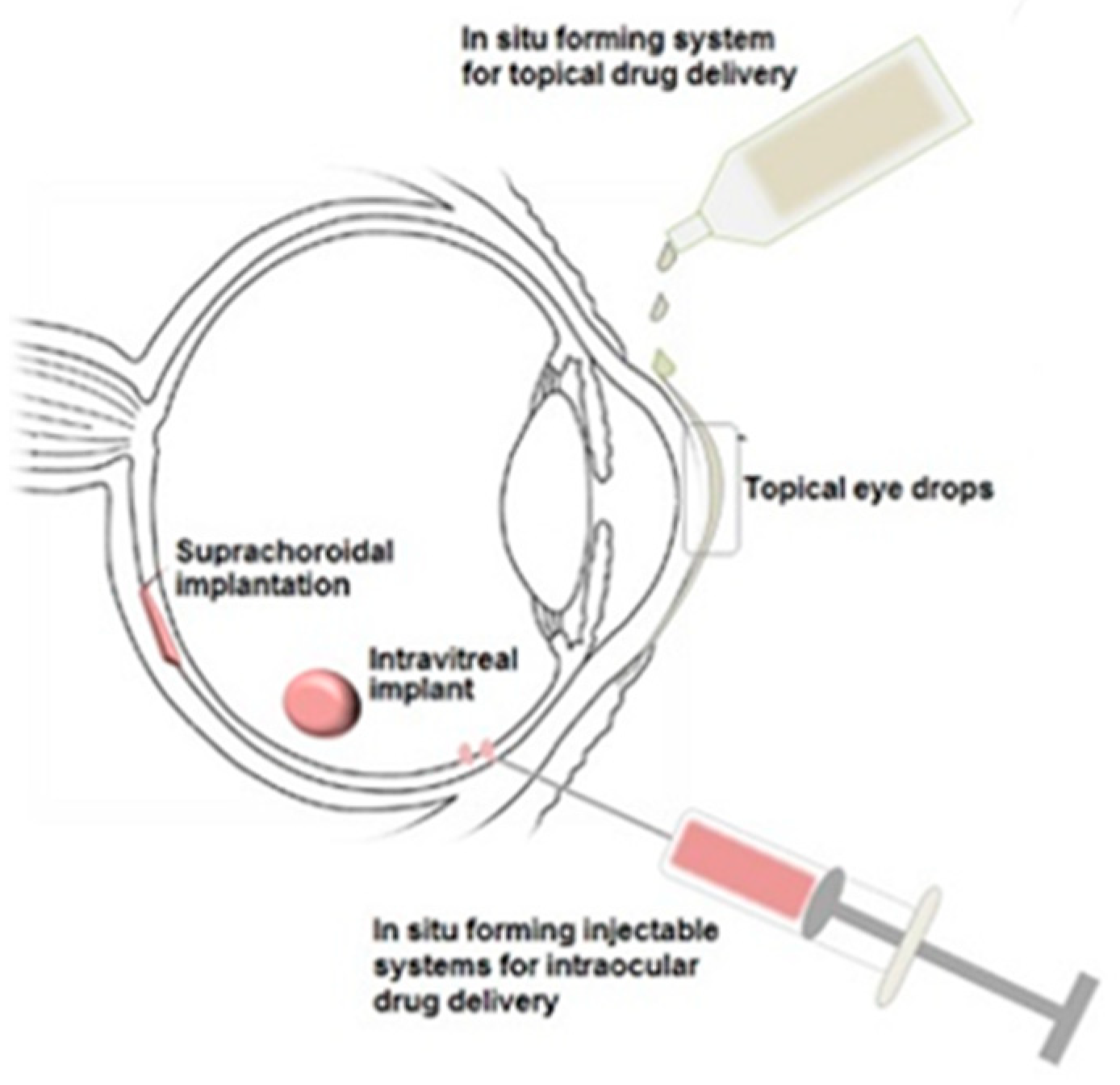 Polymers 11 01371 g006