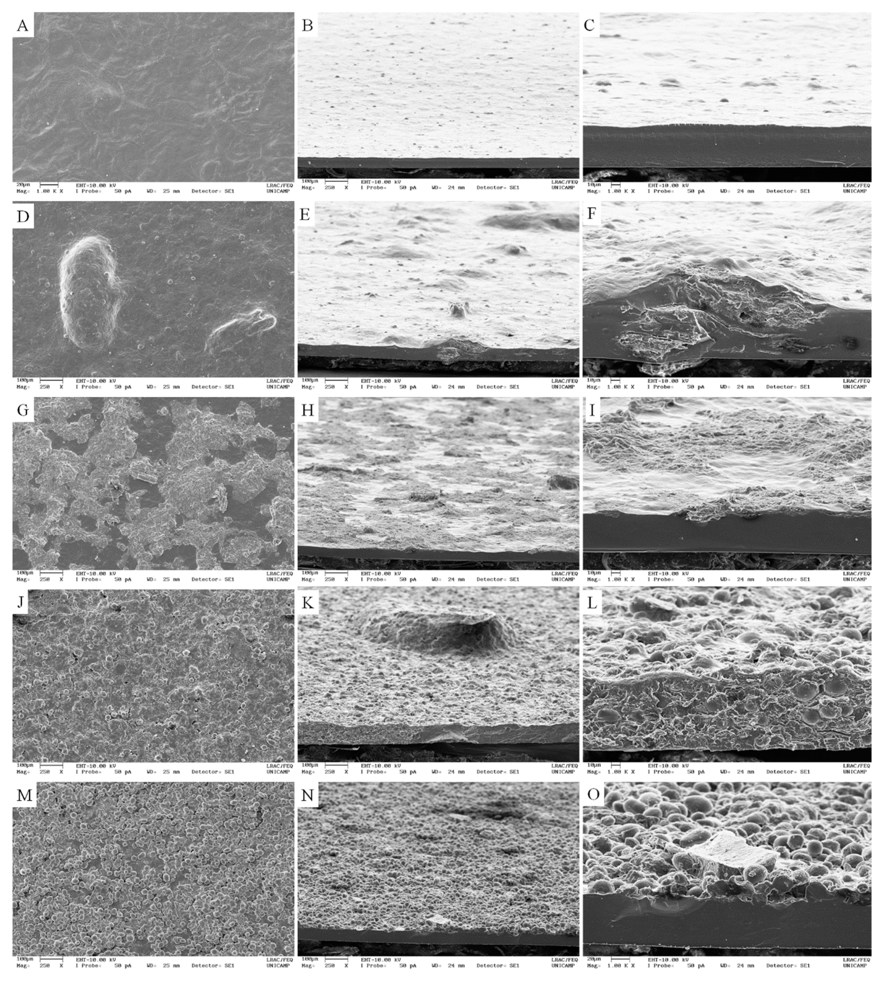 Polymers 11 01382 g003