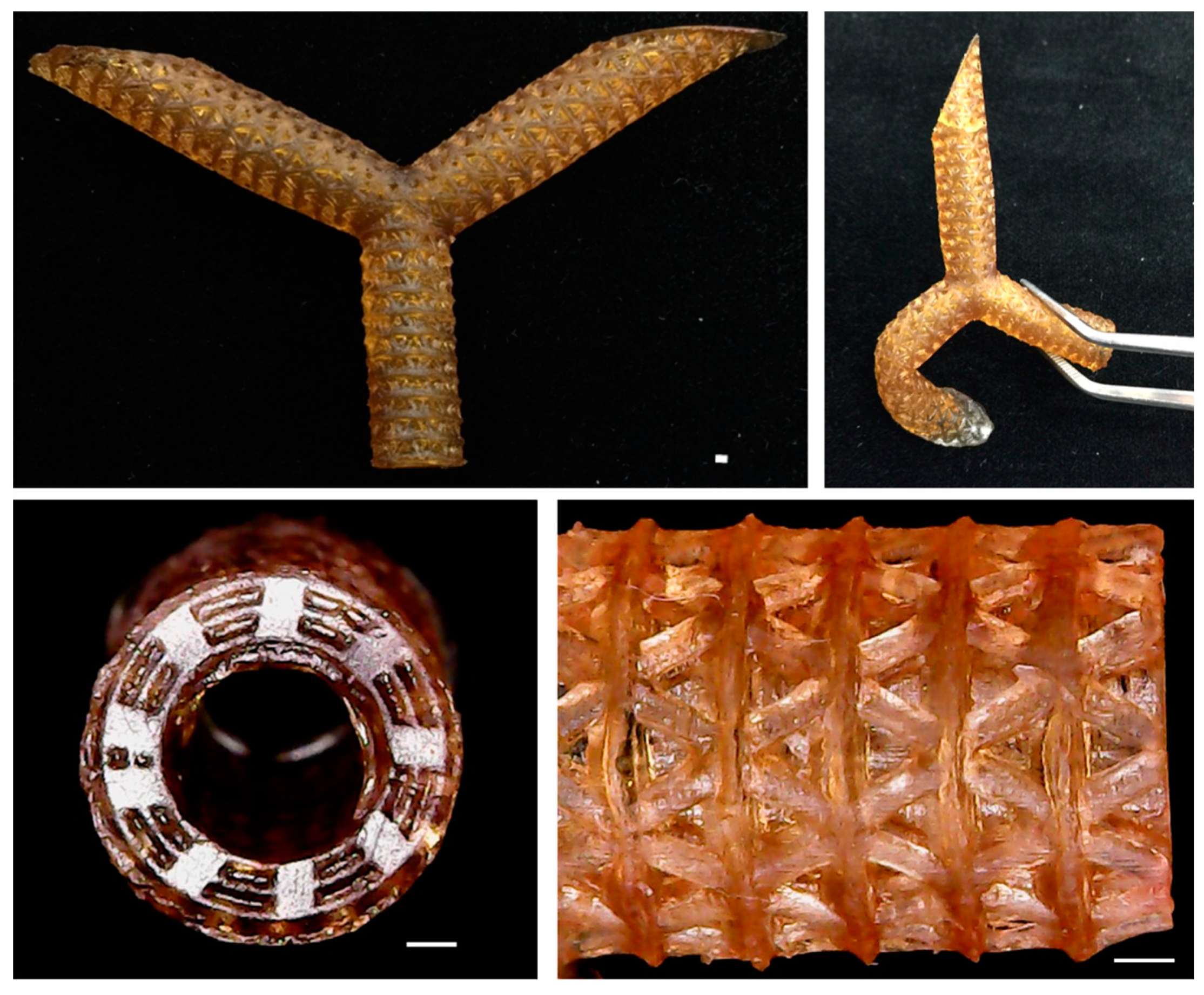 Polymers 11 01394 g007