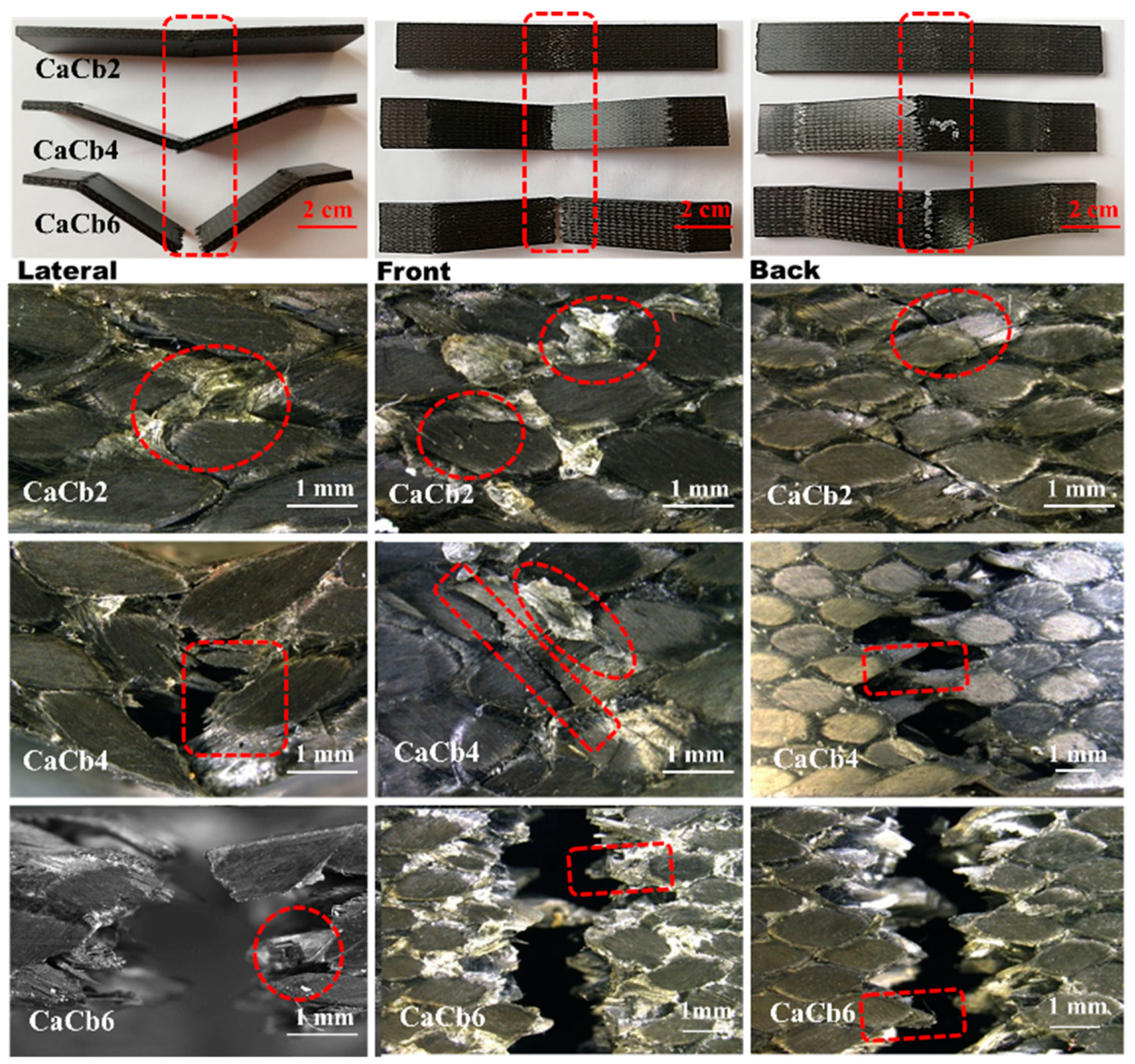 Polymers 11 01395 g005