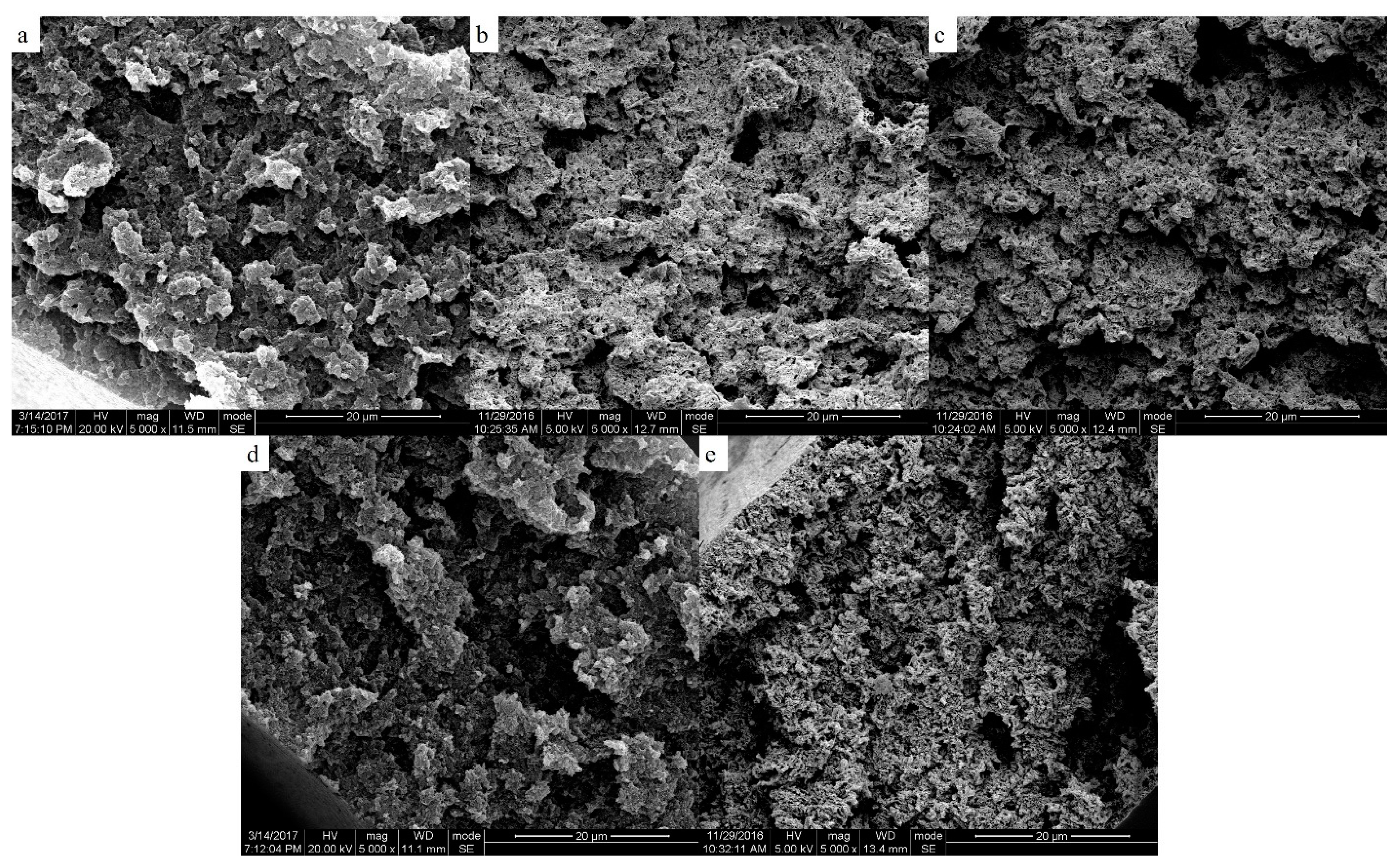 Polymers 11 01398 g006
