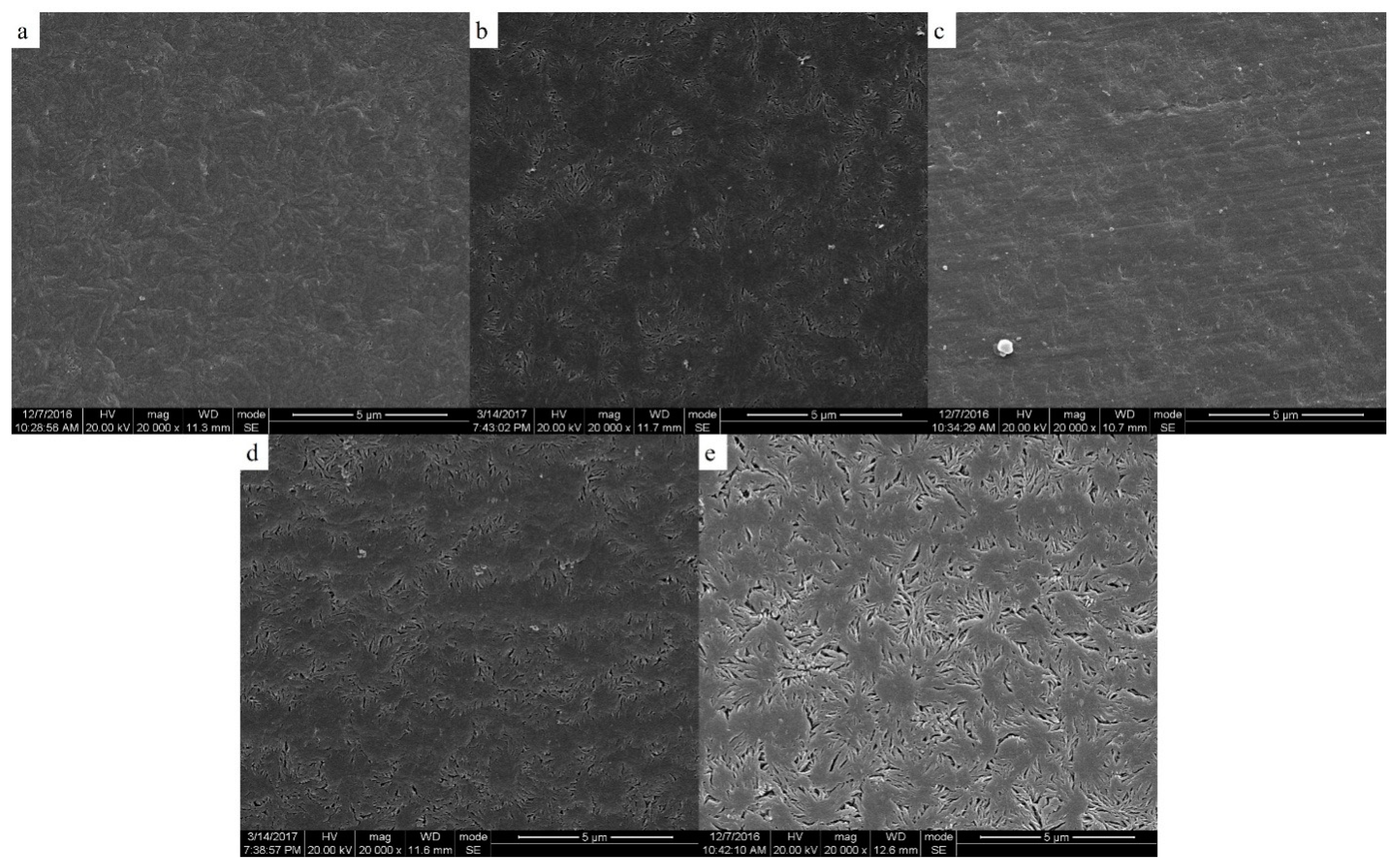 Polymers 11 01398 g007