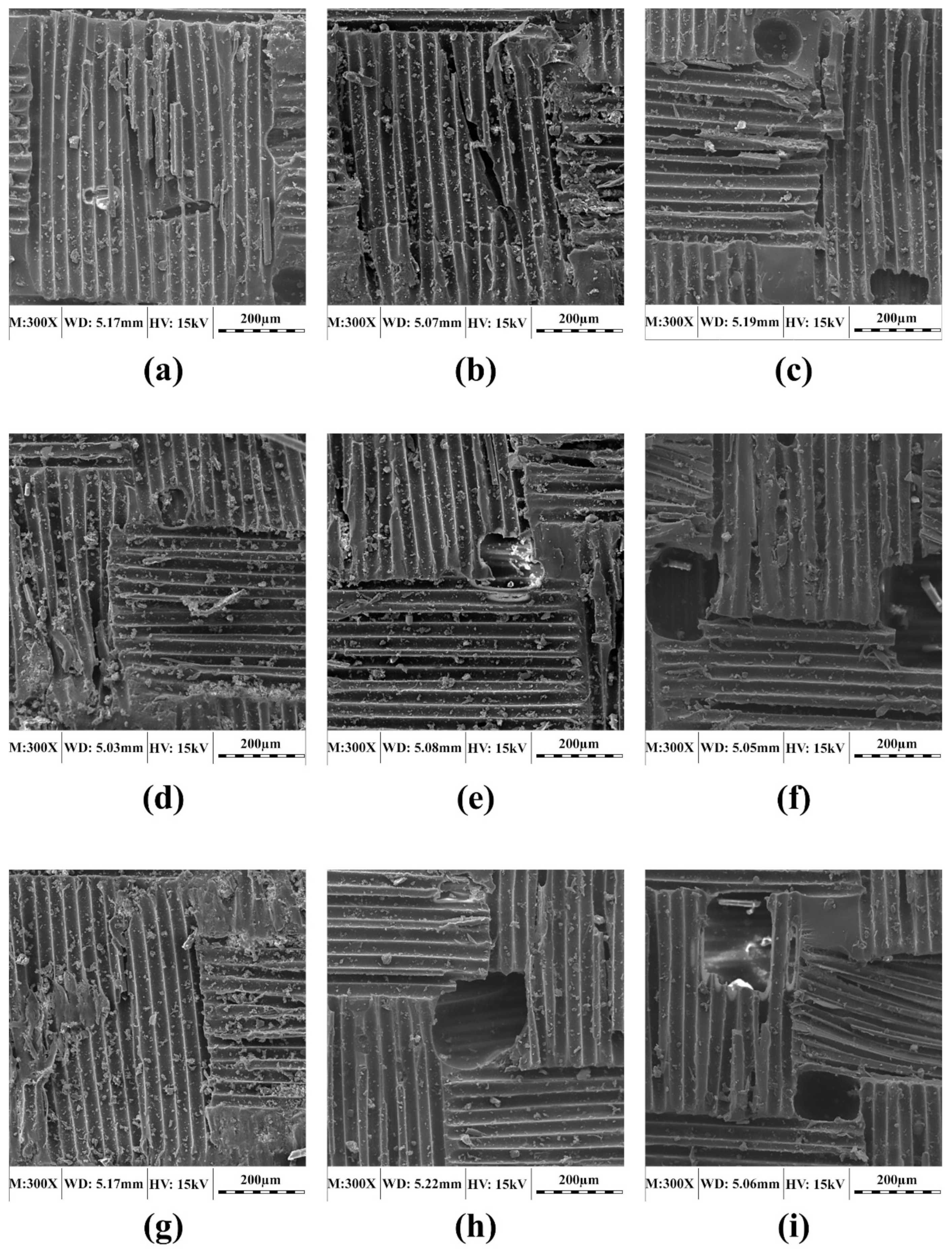 Polymers 11 01401 g005