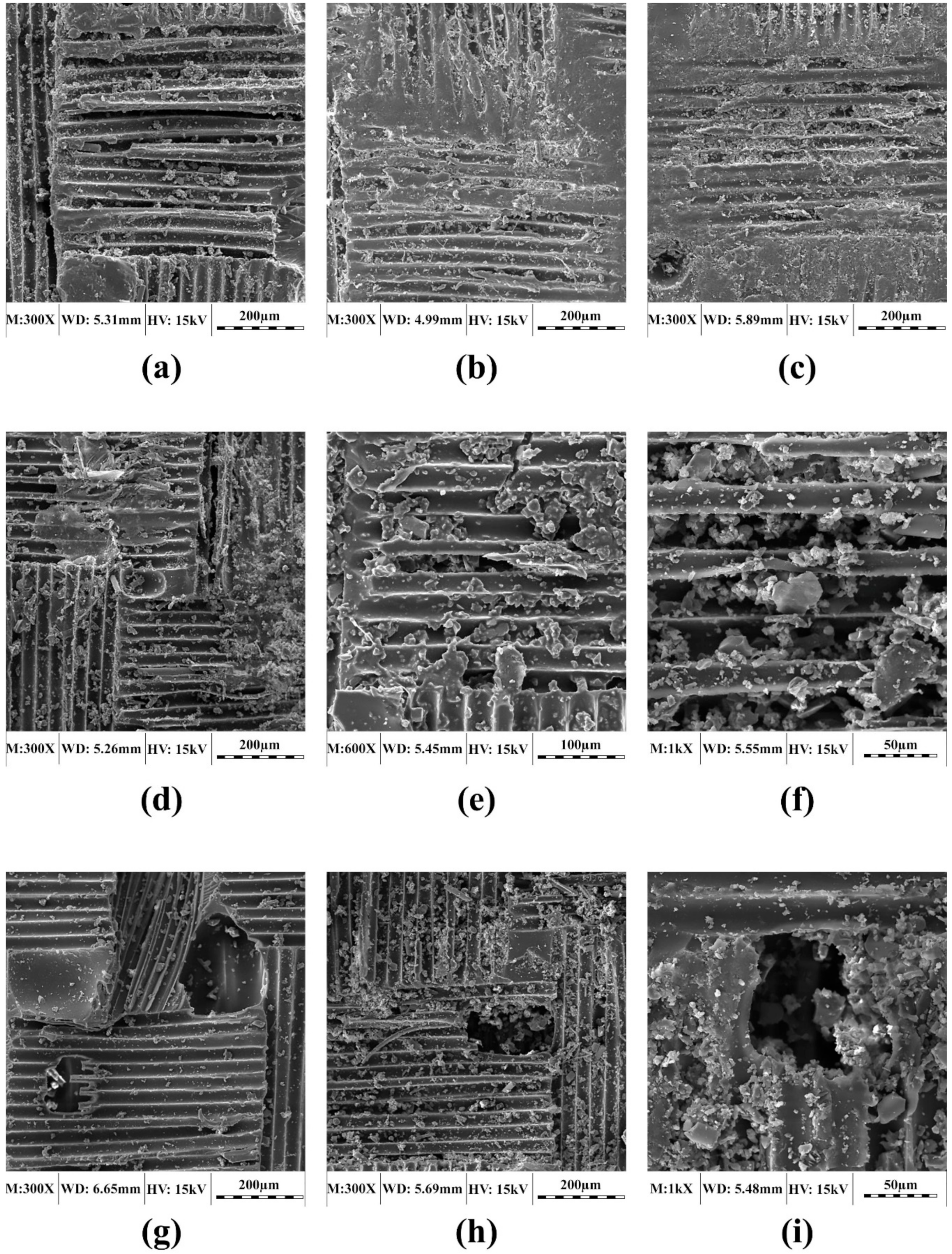 Polymers 11 01401 g006
