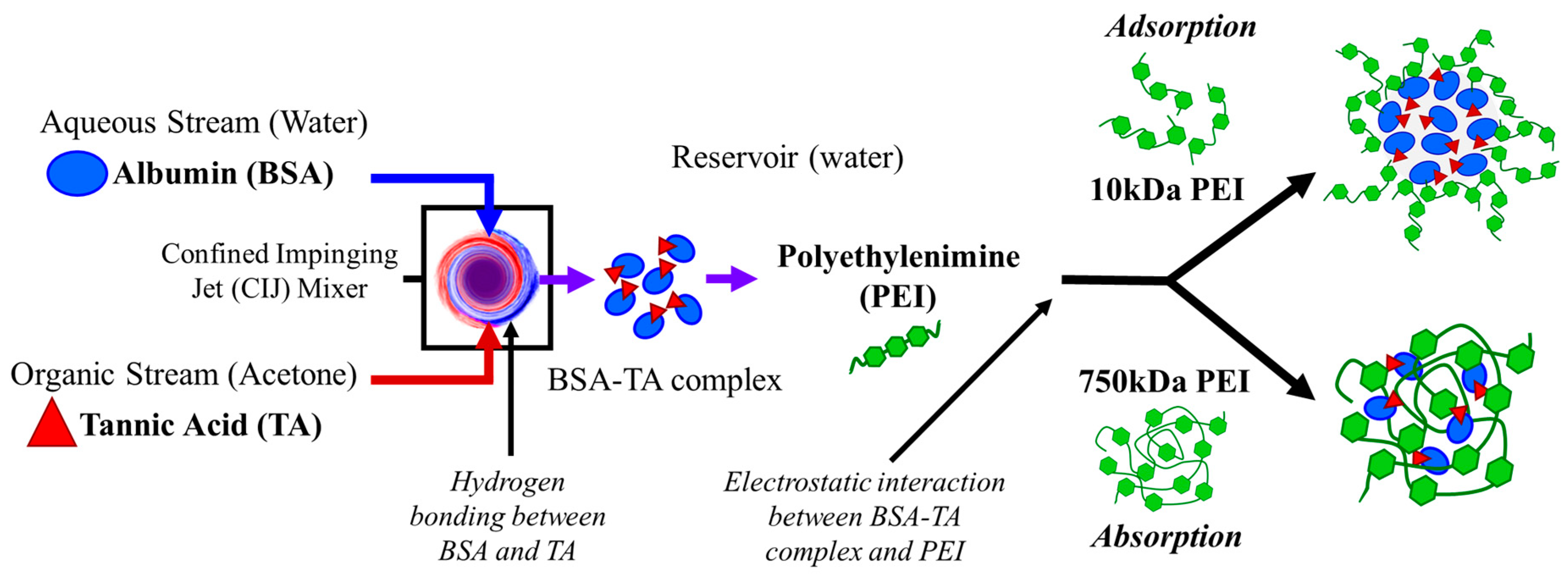 Polymers 11 01406 g002