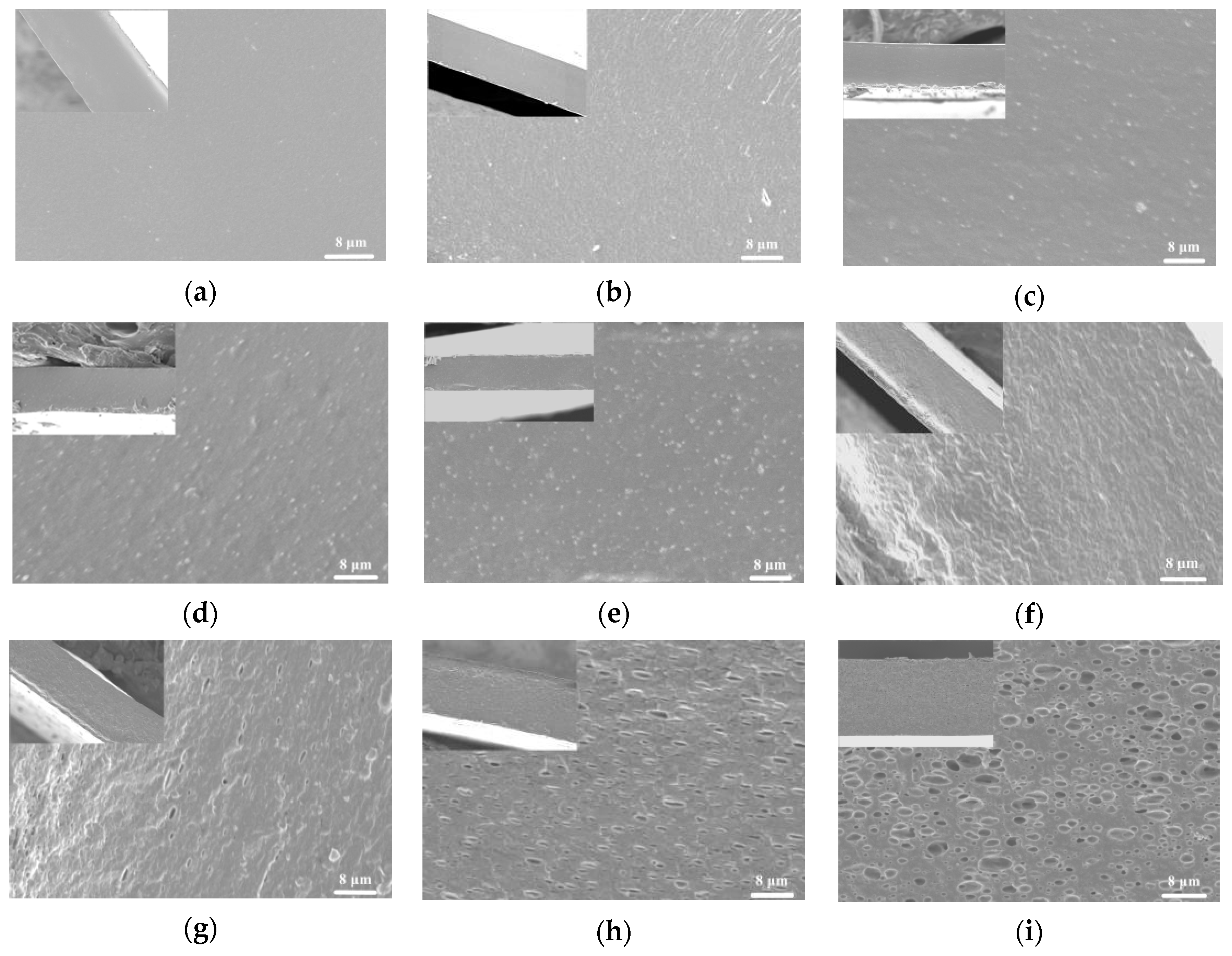 Polymers 11 01418 g002