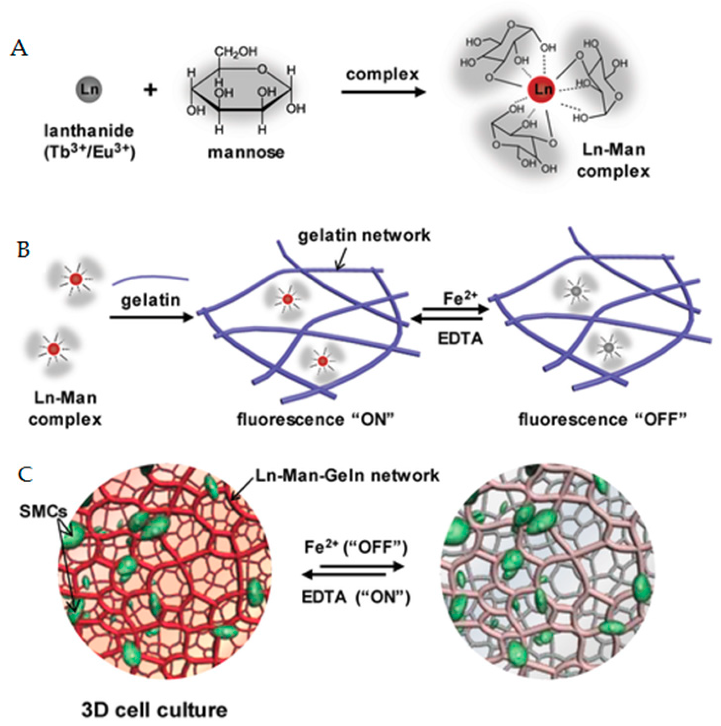 Polymers 11 01420 g004