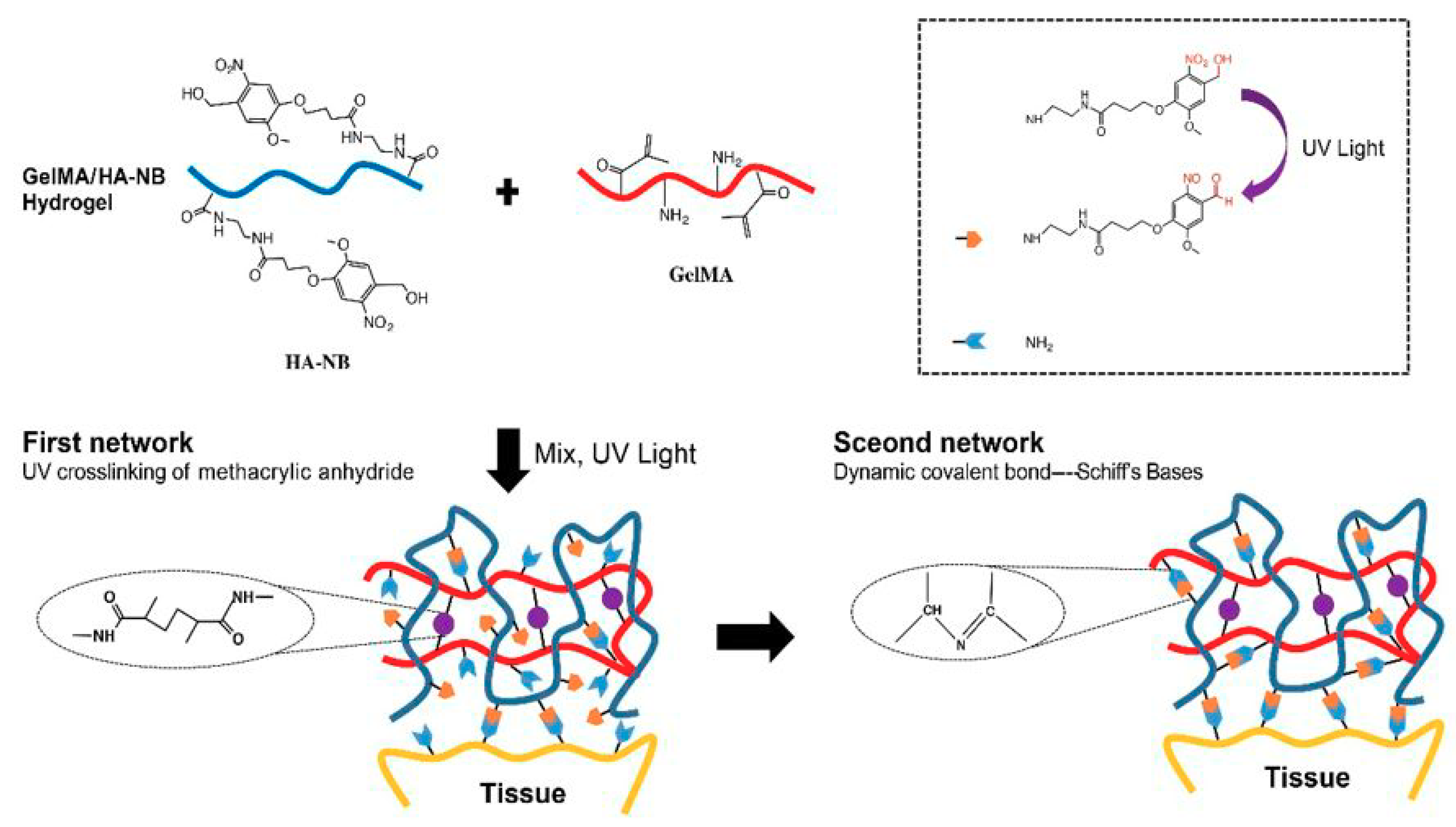 Polymers 11 01420 g006