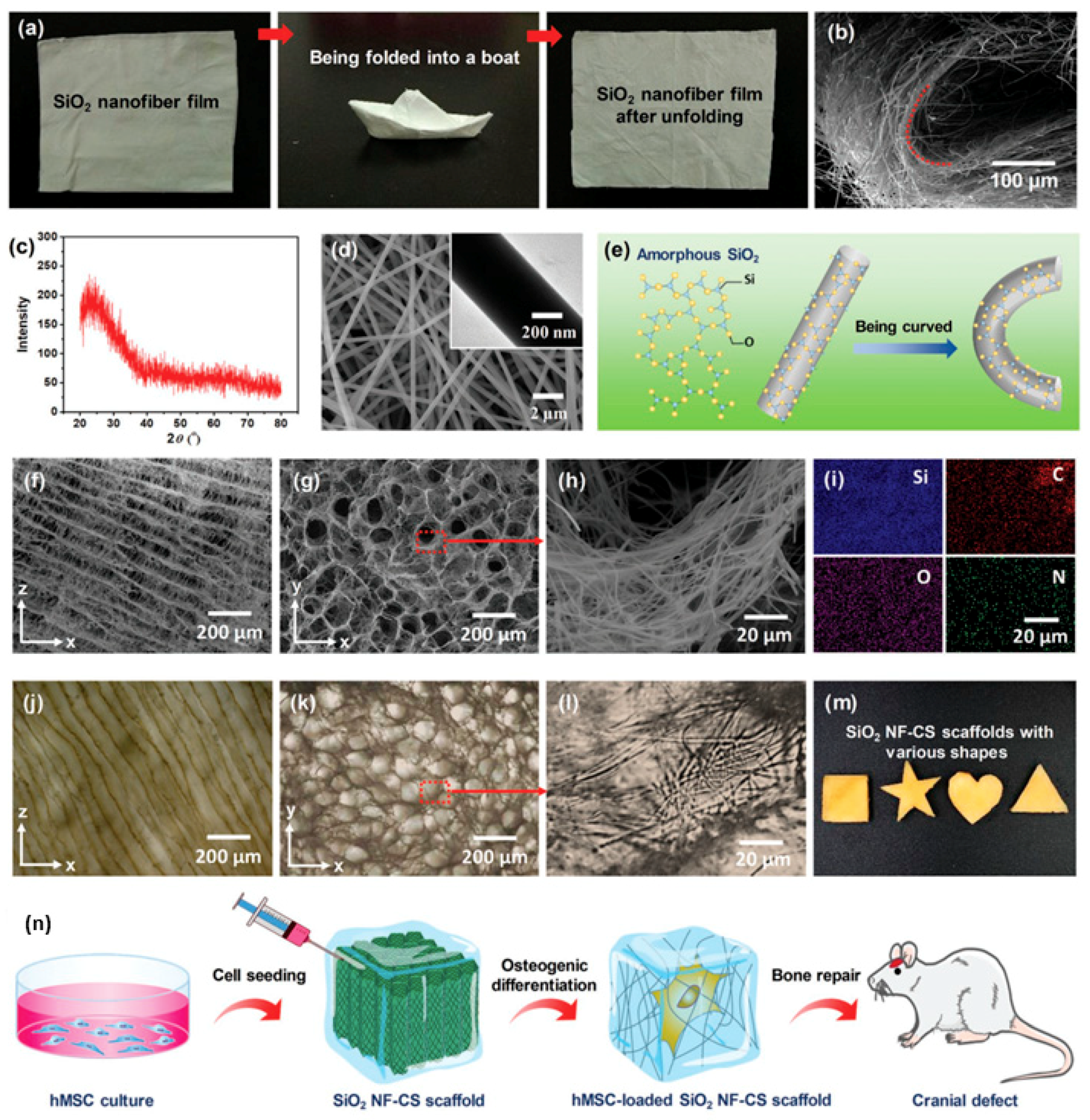 Polymers 11 01420 g007