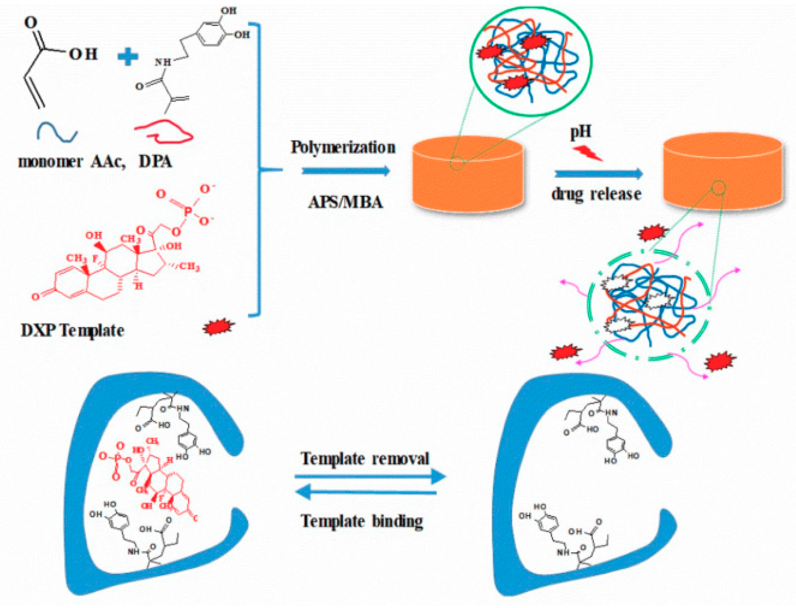 Polymers 11 01420 g010