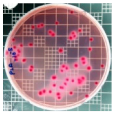 Polymers 11 01427 i002